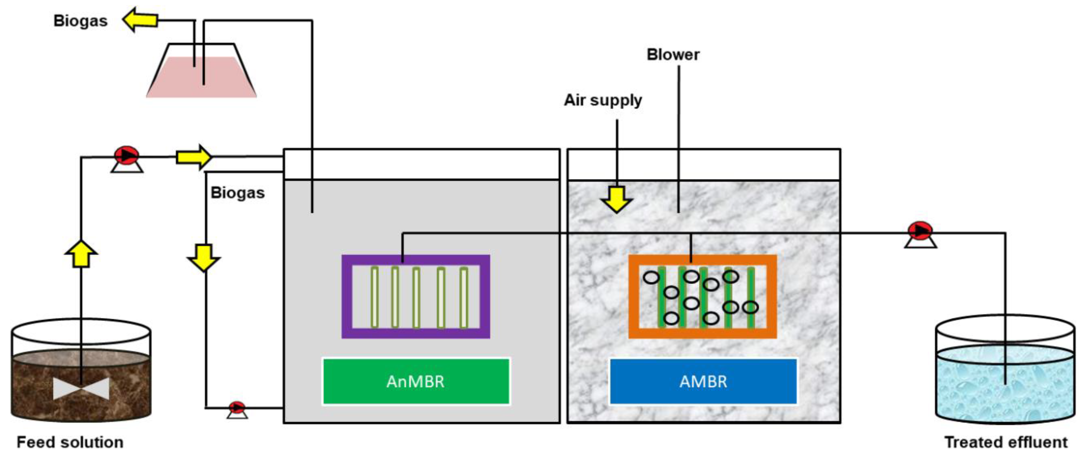 Water 13 03450 g001 550
