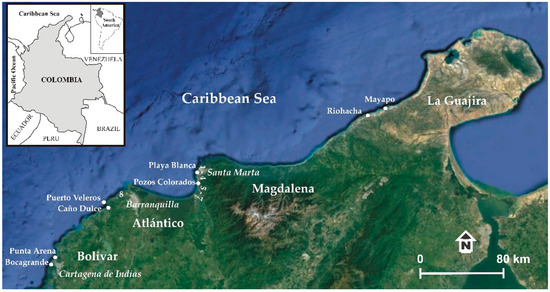 Qualitative and Quantitative Beach Cleanliness Assessment to