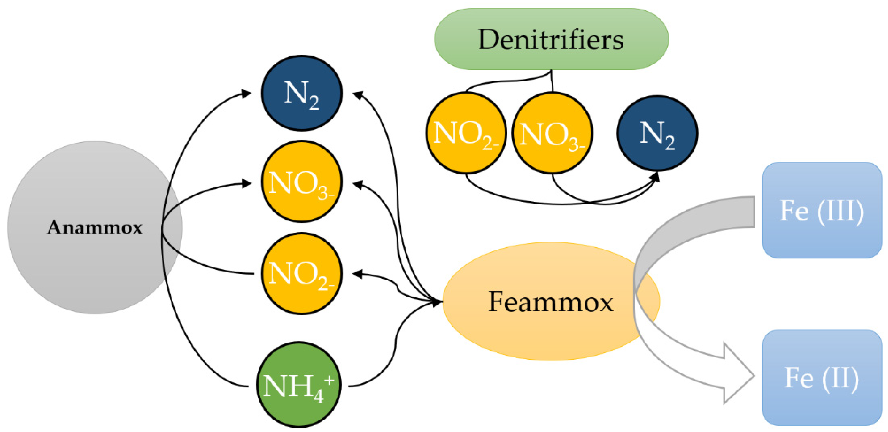 Water 13 03462 g001 550