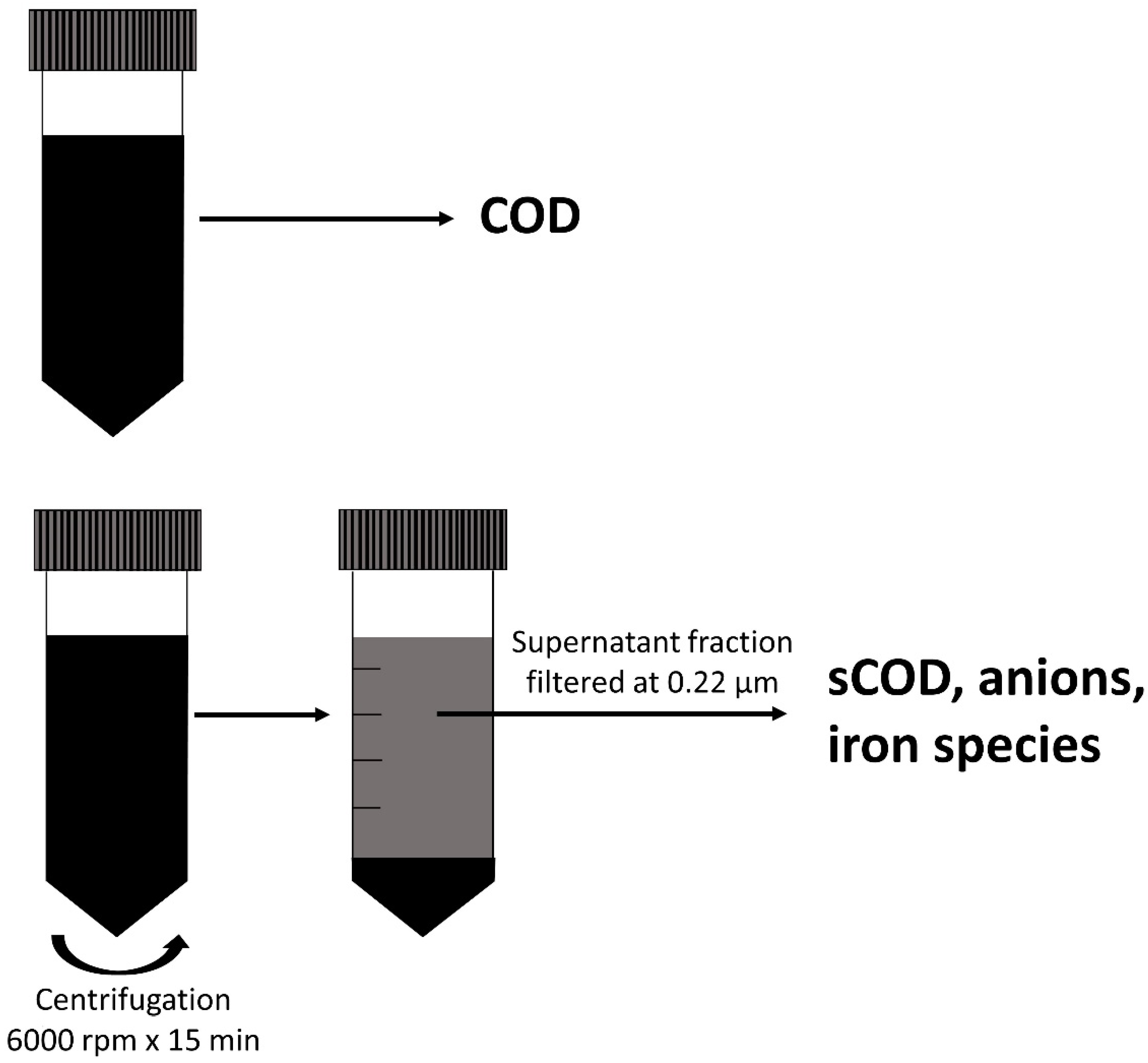 Water 13 03462 g002 550