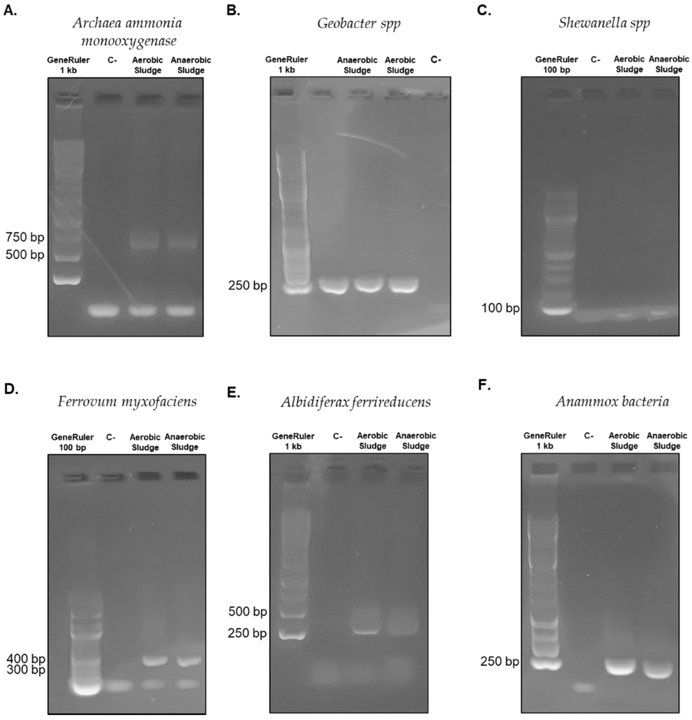 Water 13 03462 g003 550