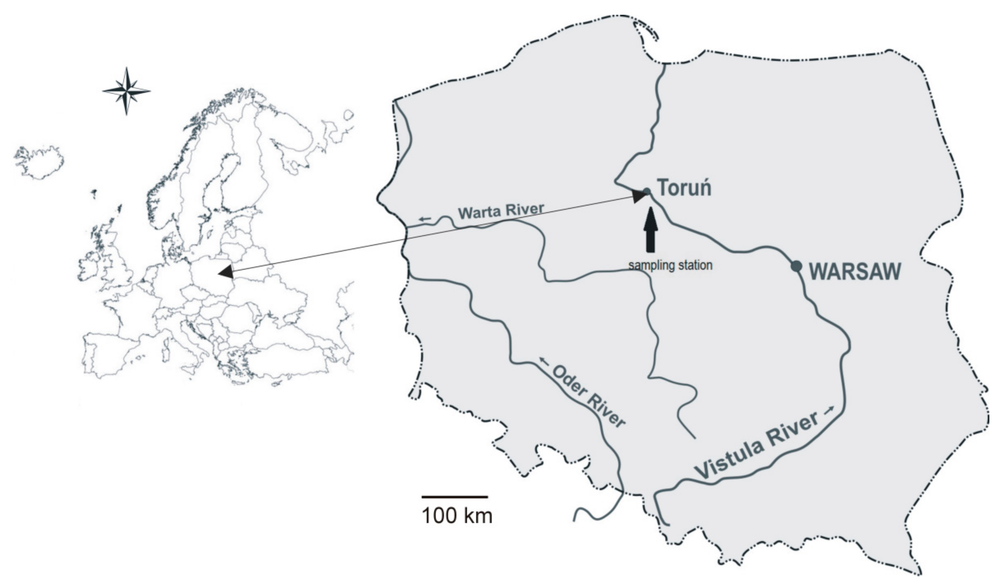 Water 13 03471 g001 550