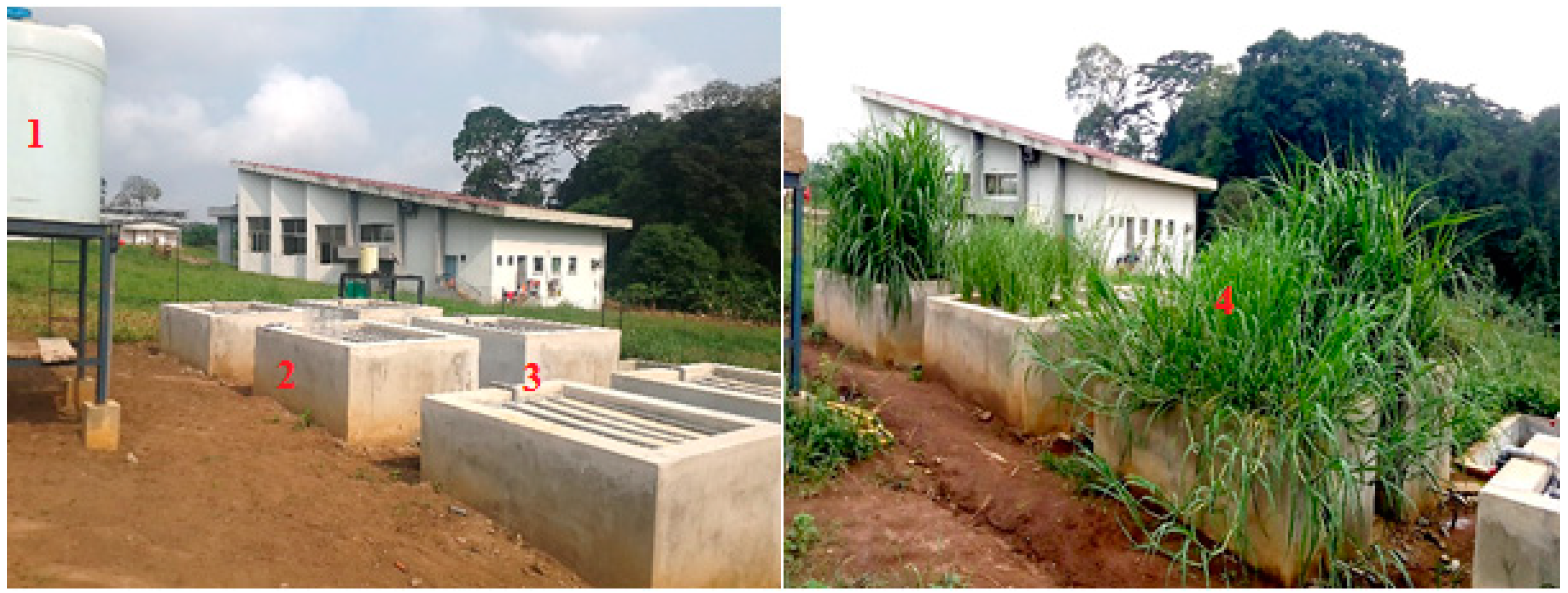 Water 13 03485 g001 Water 13 03485 g001