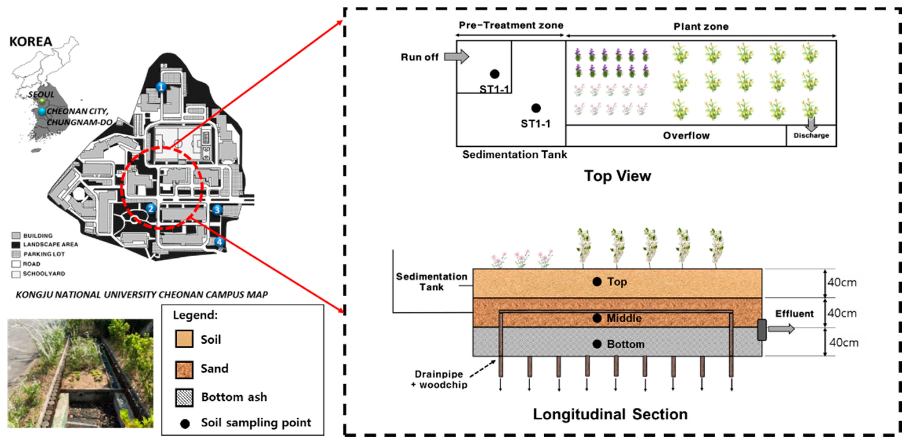 Stormwater Runoff Treatment Using Rain Garden: Performance