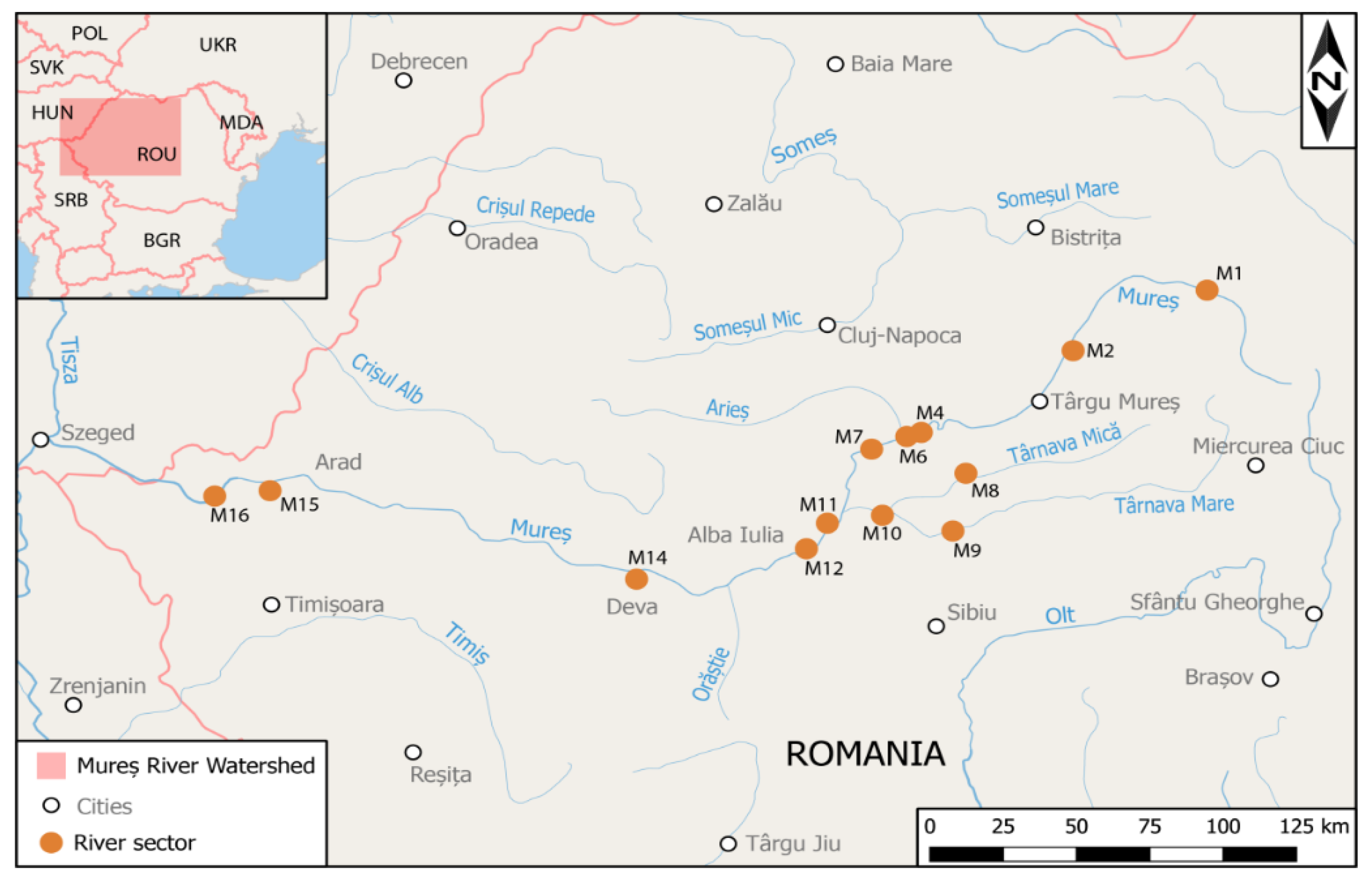 Water 13 03518 g001 550