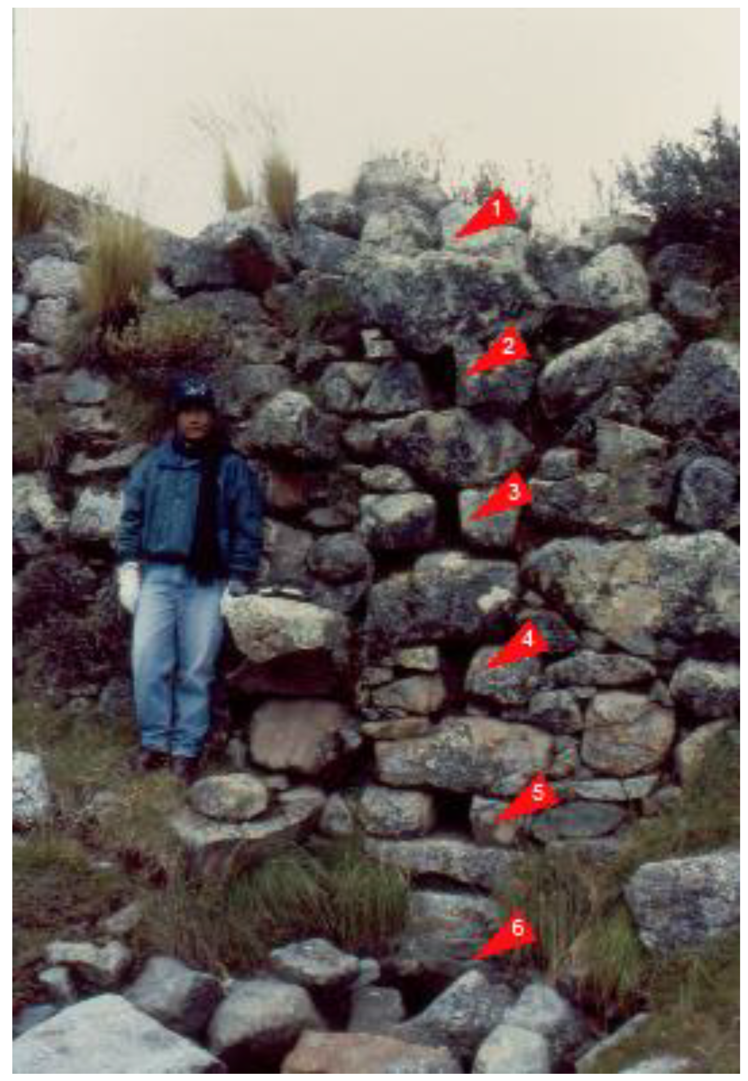 Water 13 03544 g007 550