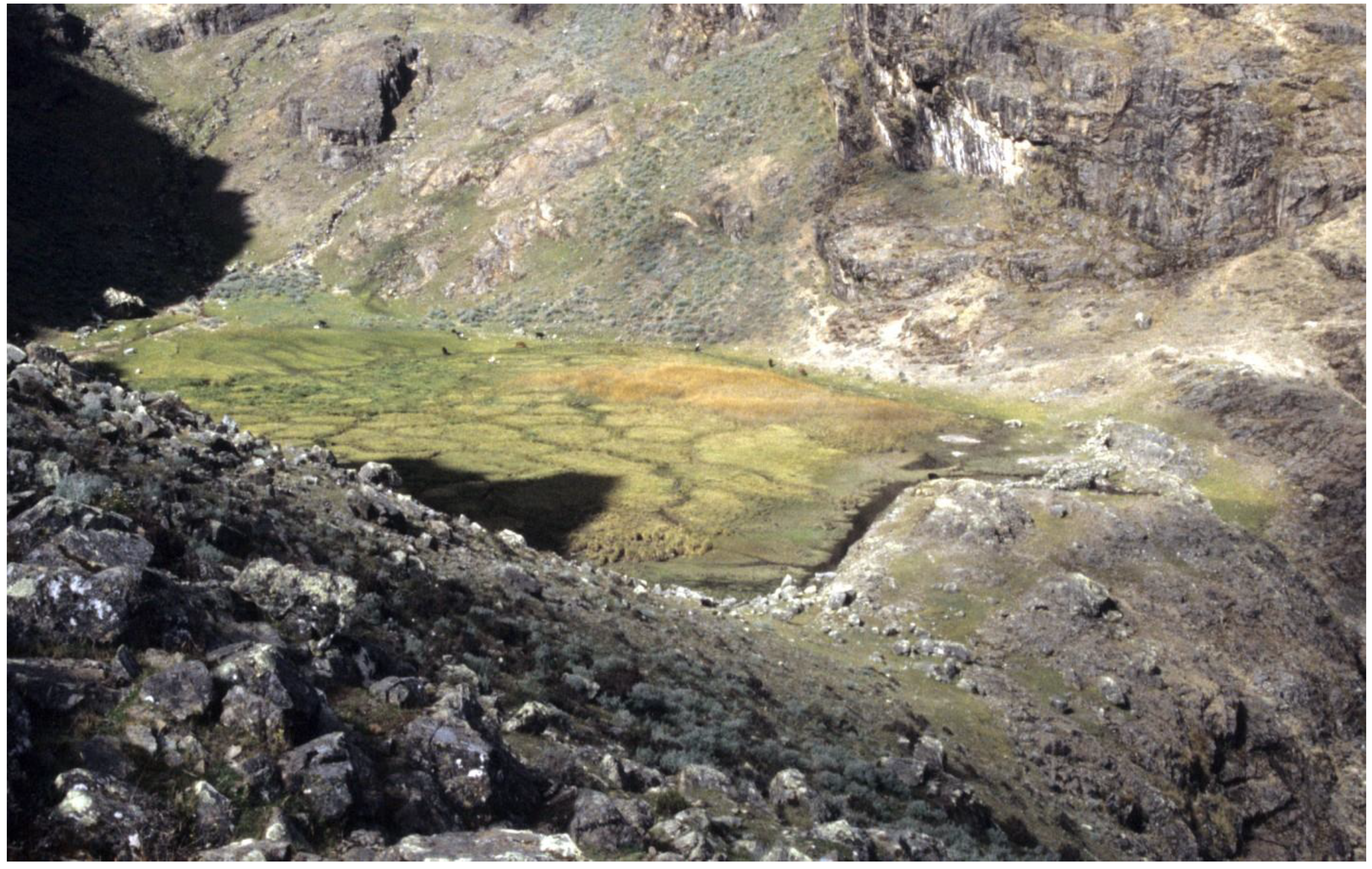 Water 13 03544 g009 550