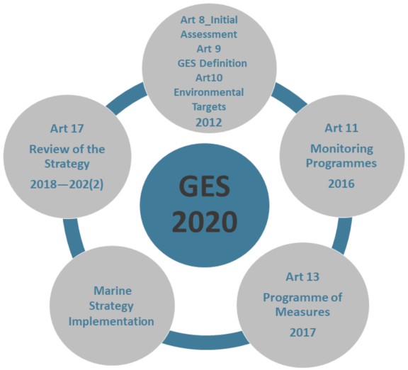 Water 13 03547 g001 550