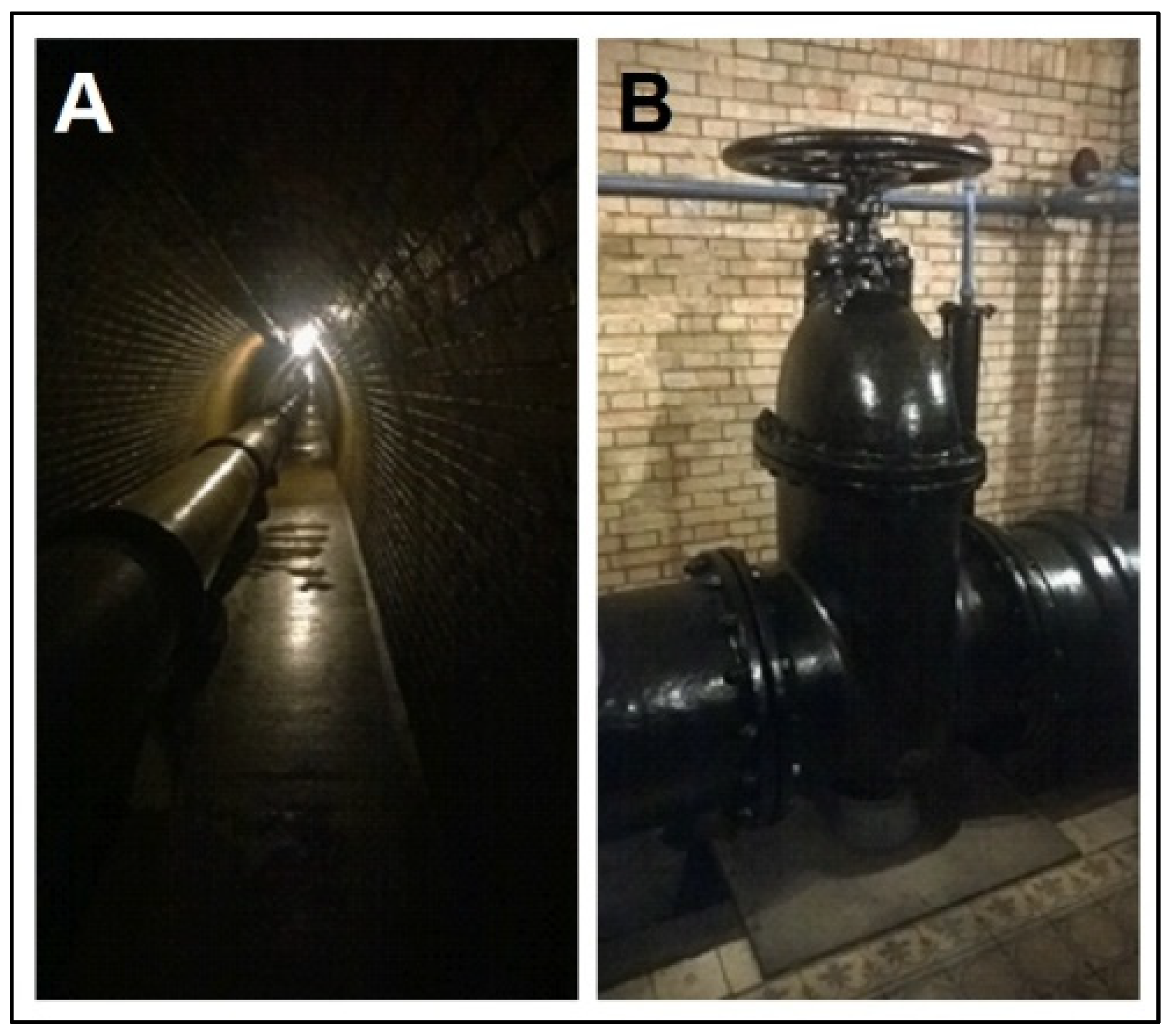 Water 13 03550 g005 550