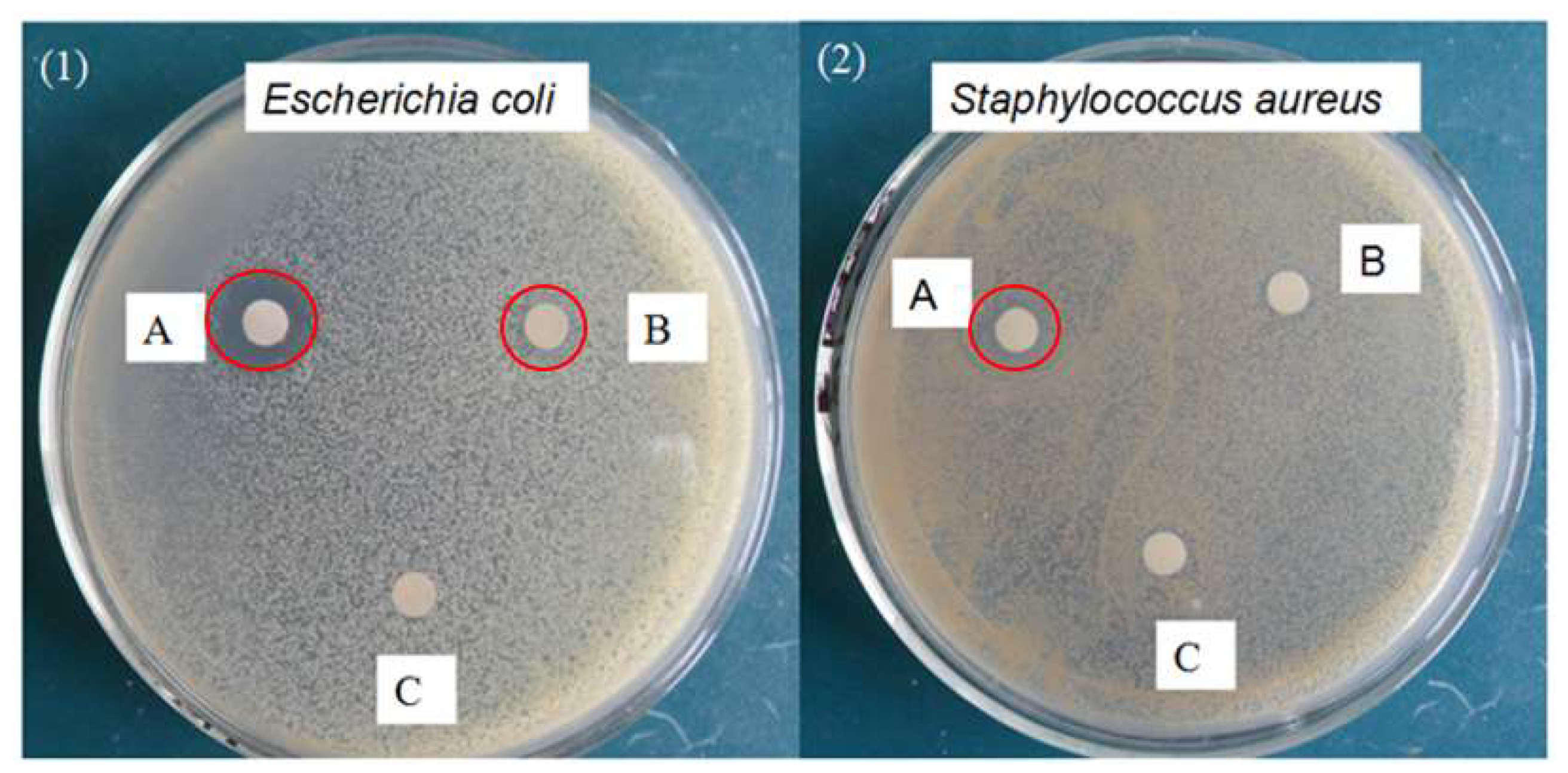 Water 13 03561 g007 550