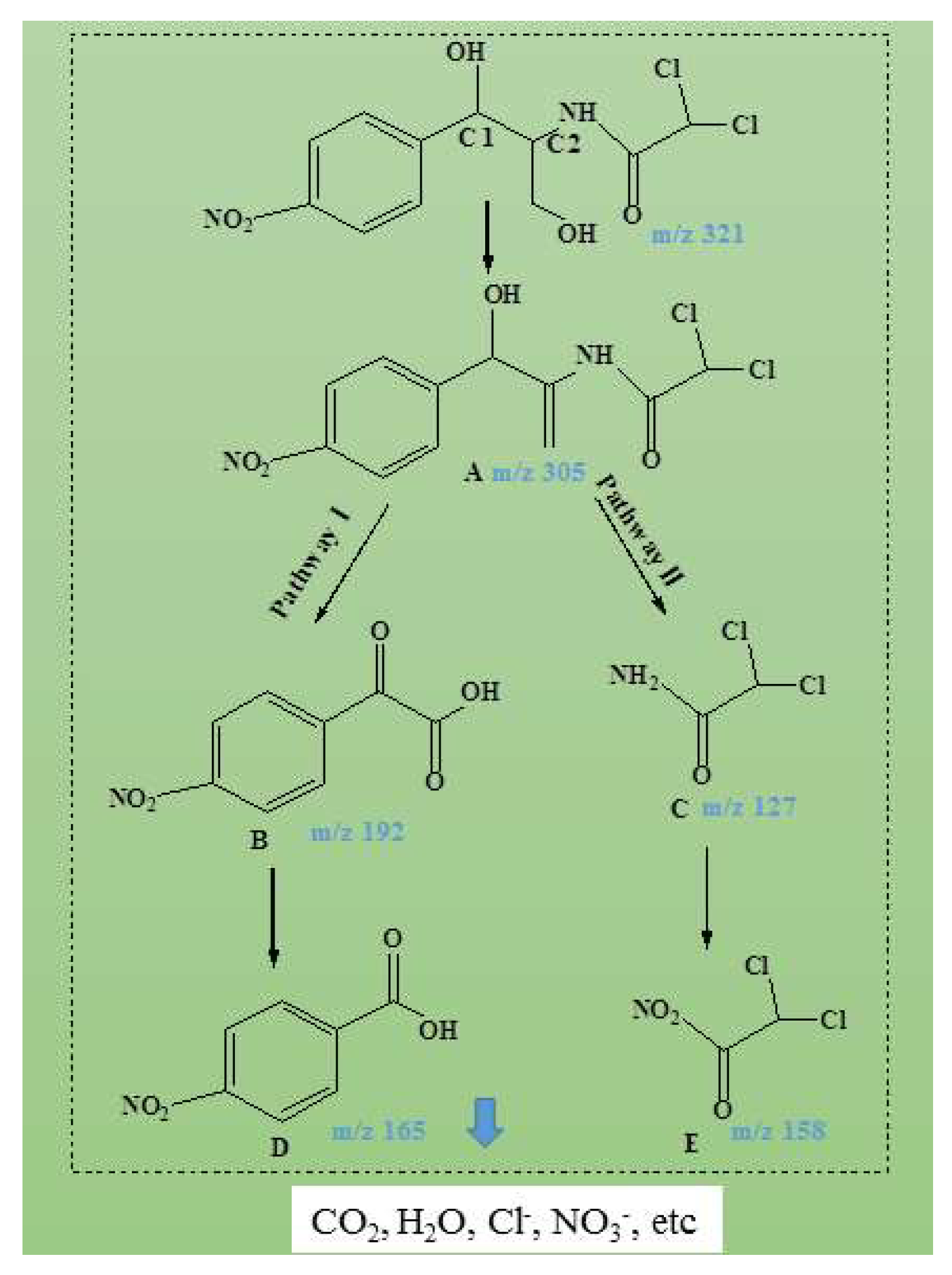 Water 13 03561 g008 550