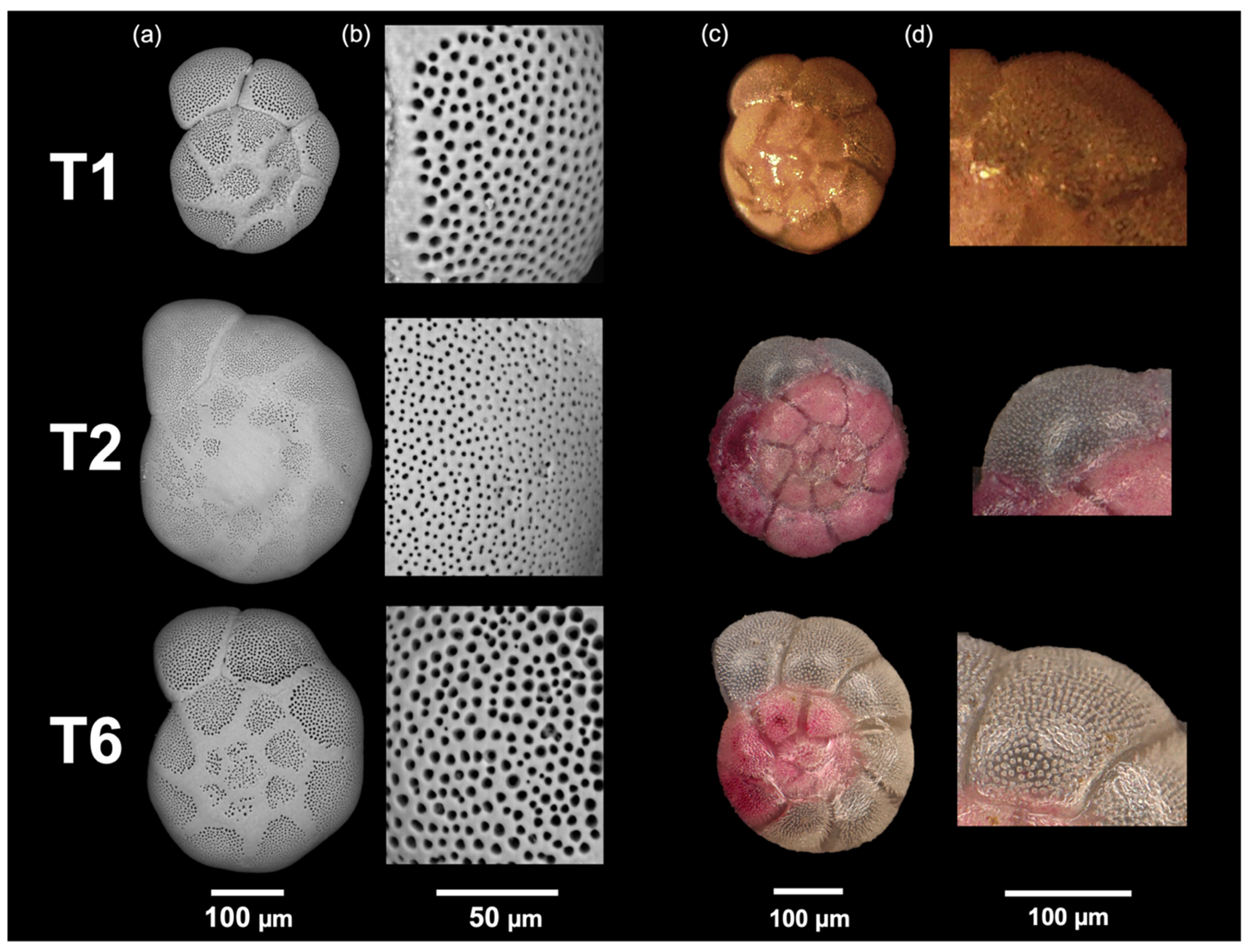 Water 13 03563 g002 550