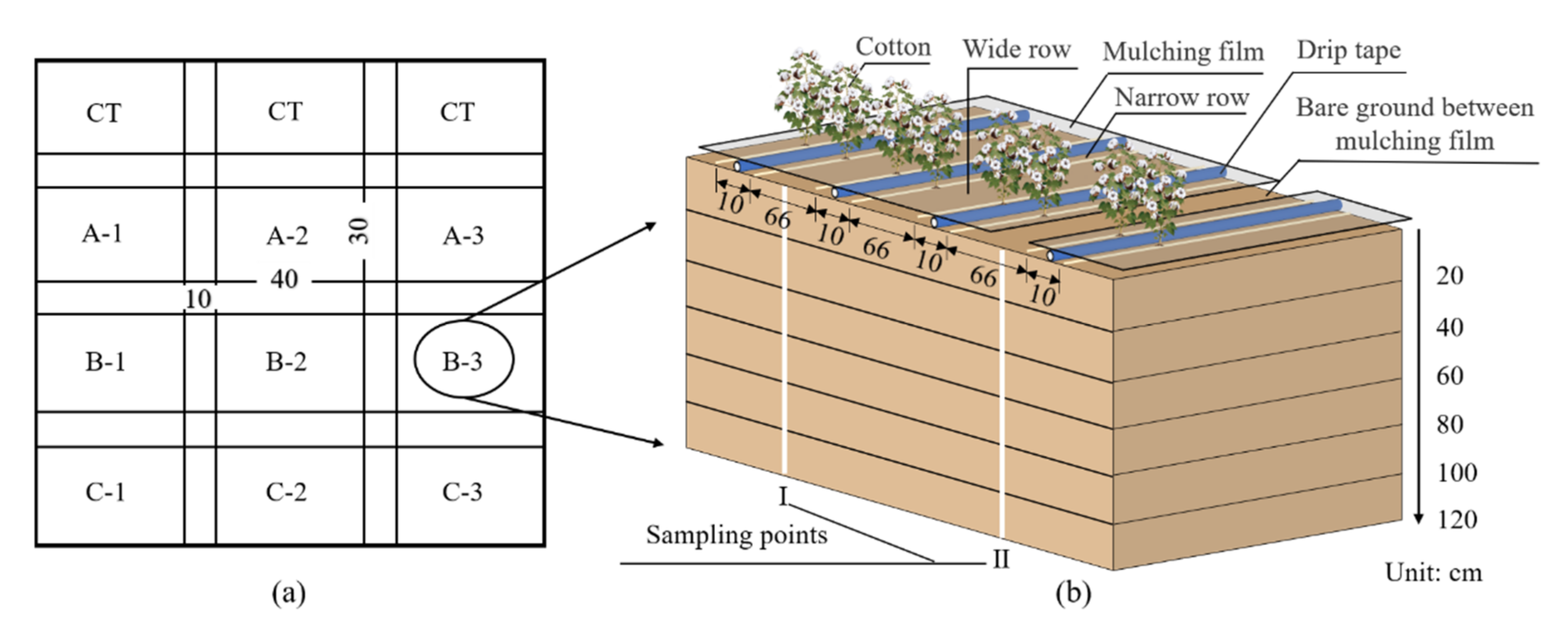 Water 13 03592 g002 550