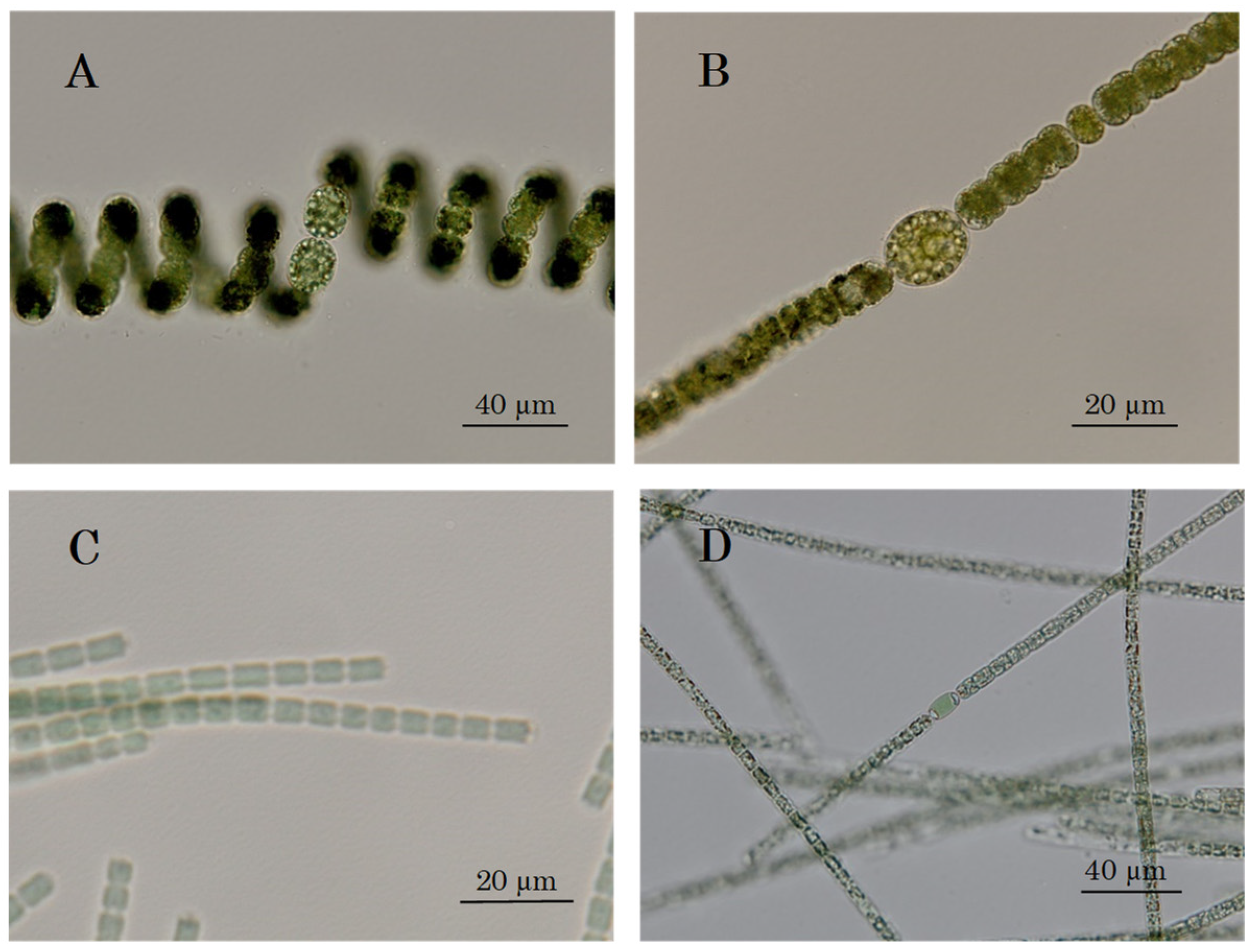 Water 13 03600 g004 550