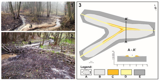 Characteristics of Beaver Ponds and Landforms Induced by Beaver ...