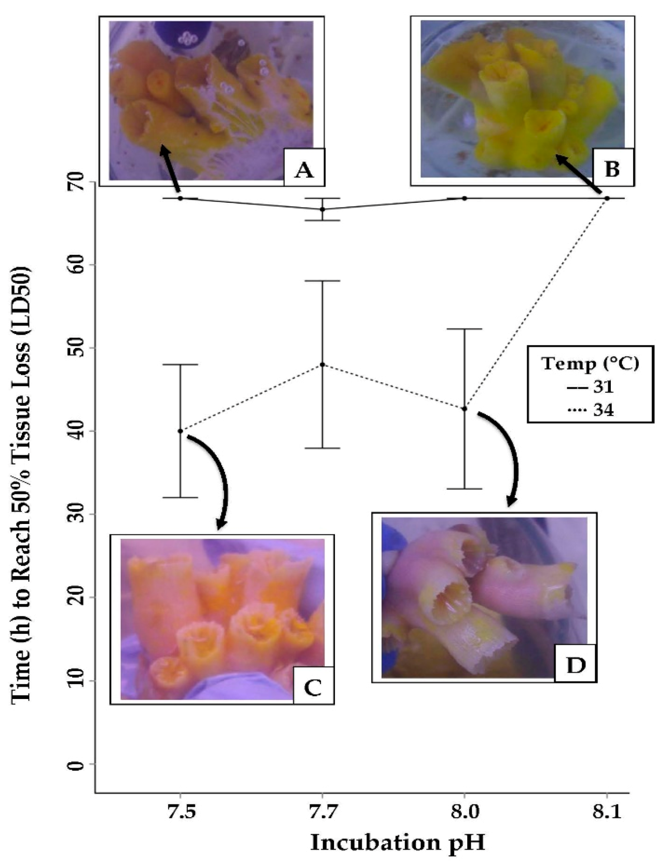 Water 13 03645 g001 Water 13 03645 g001