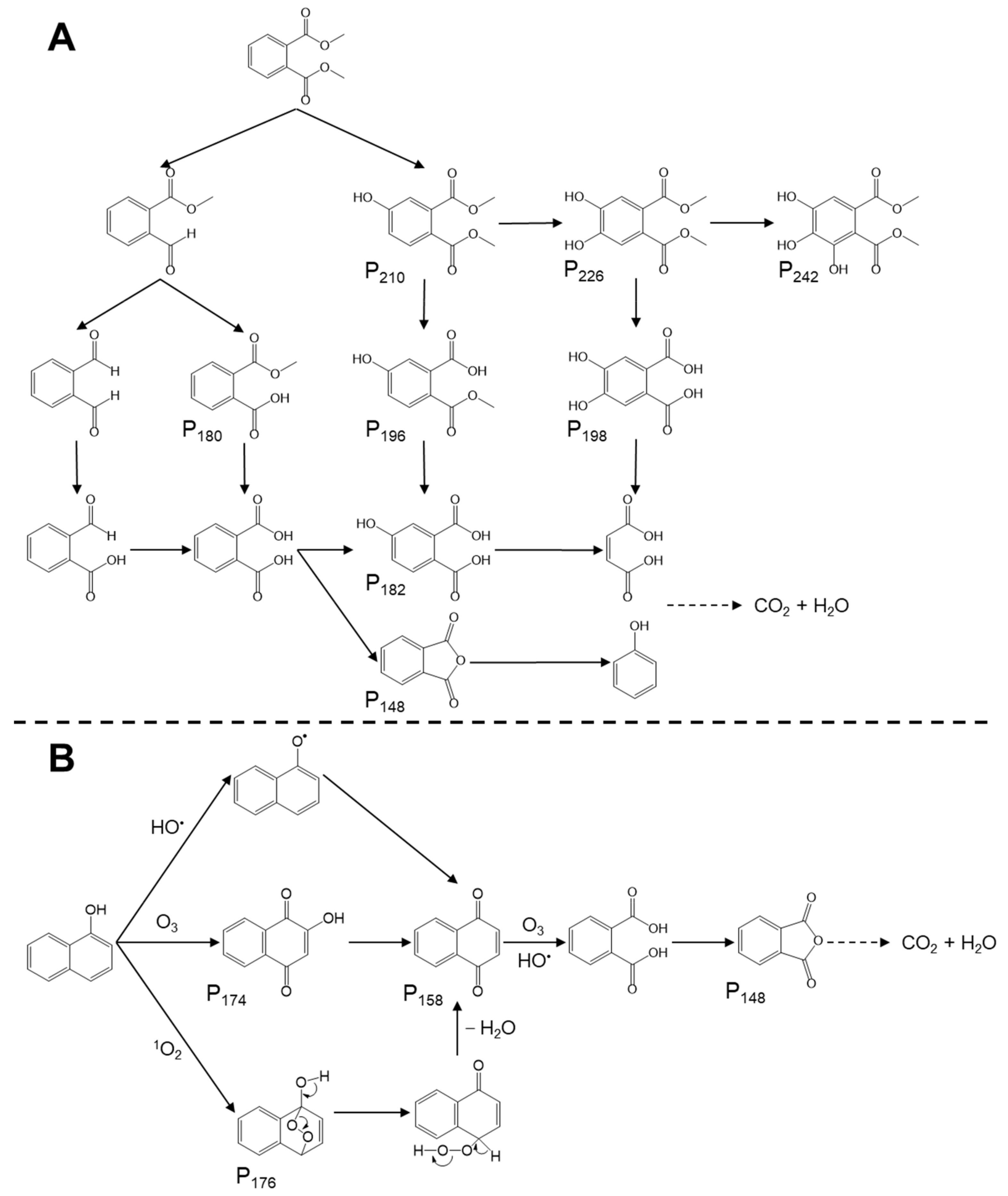 Water 14 00019 g004 550