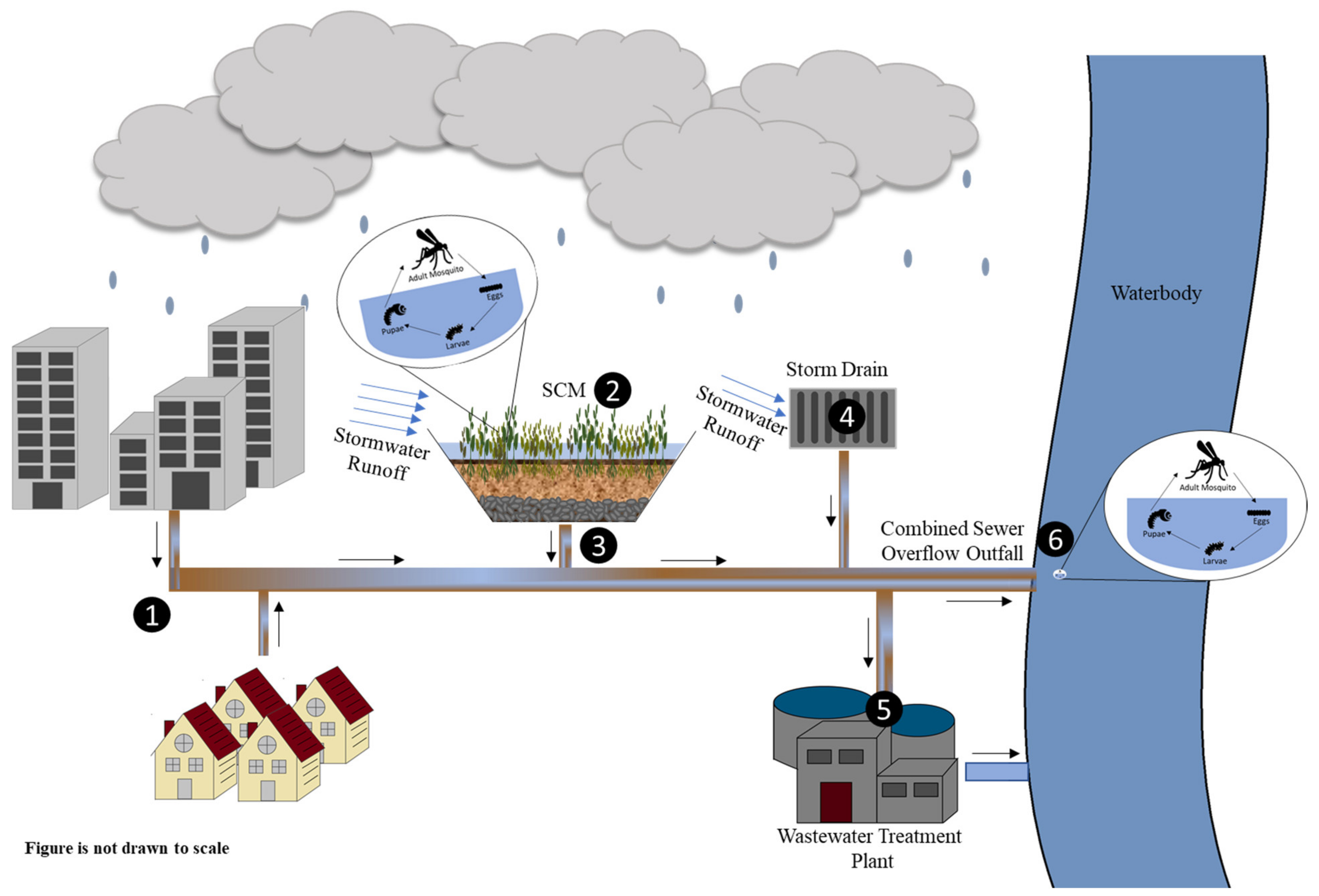 Water 14 00031 g001 Water 14 00031 g001