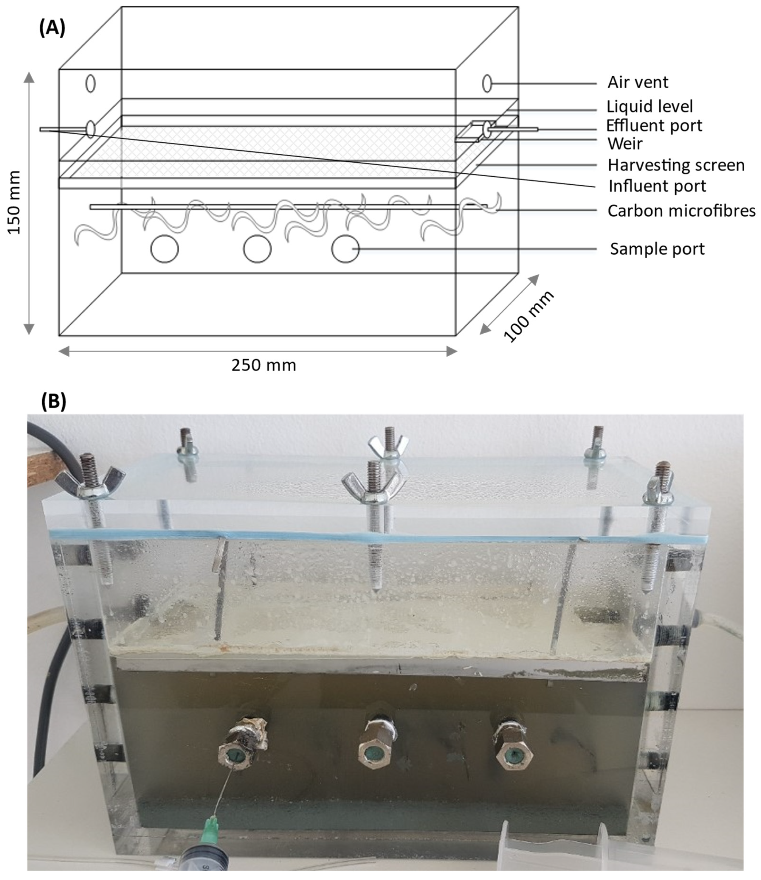 Water 14 00032 g001 550