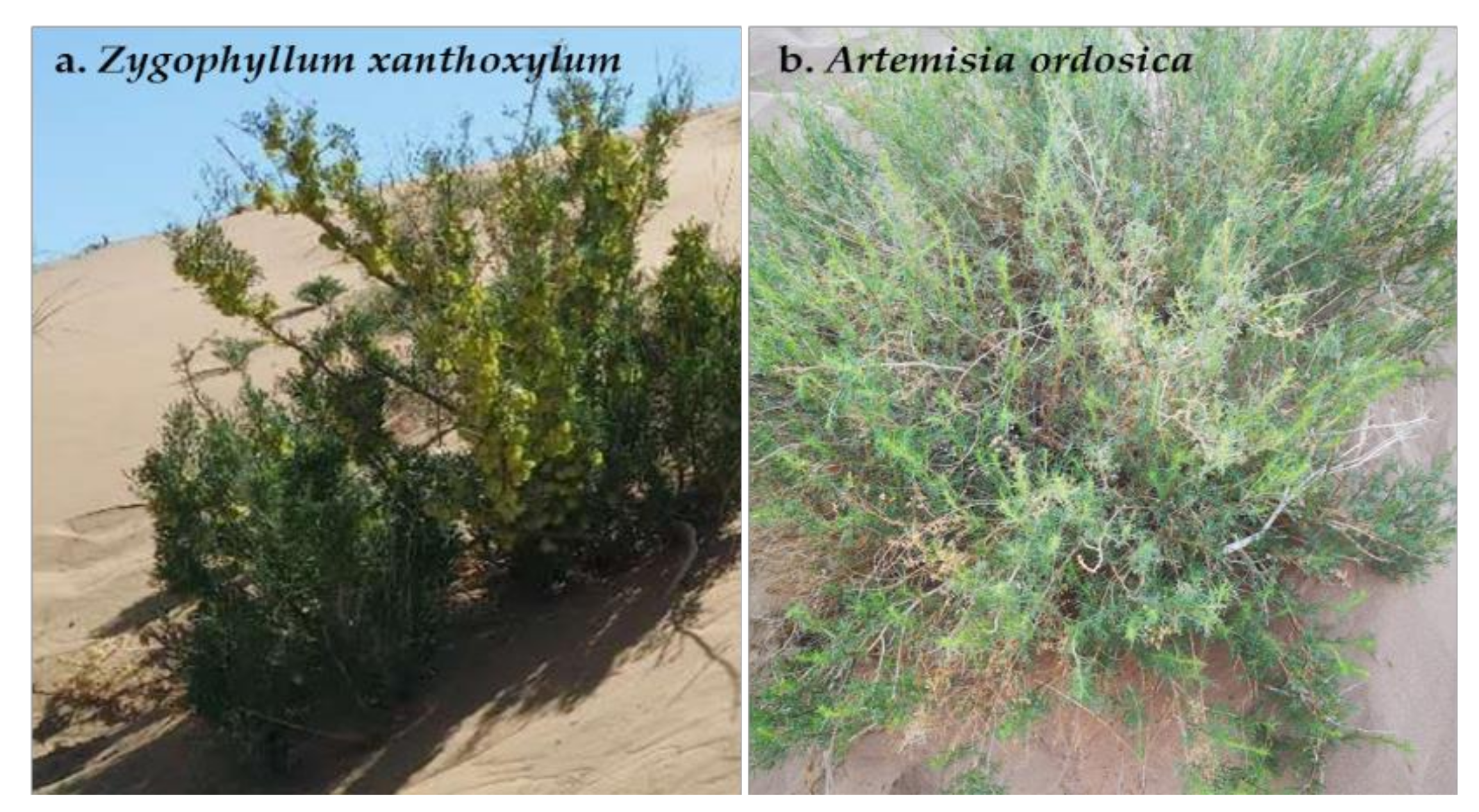 Water 14 00053 g002 550