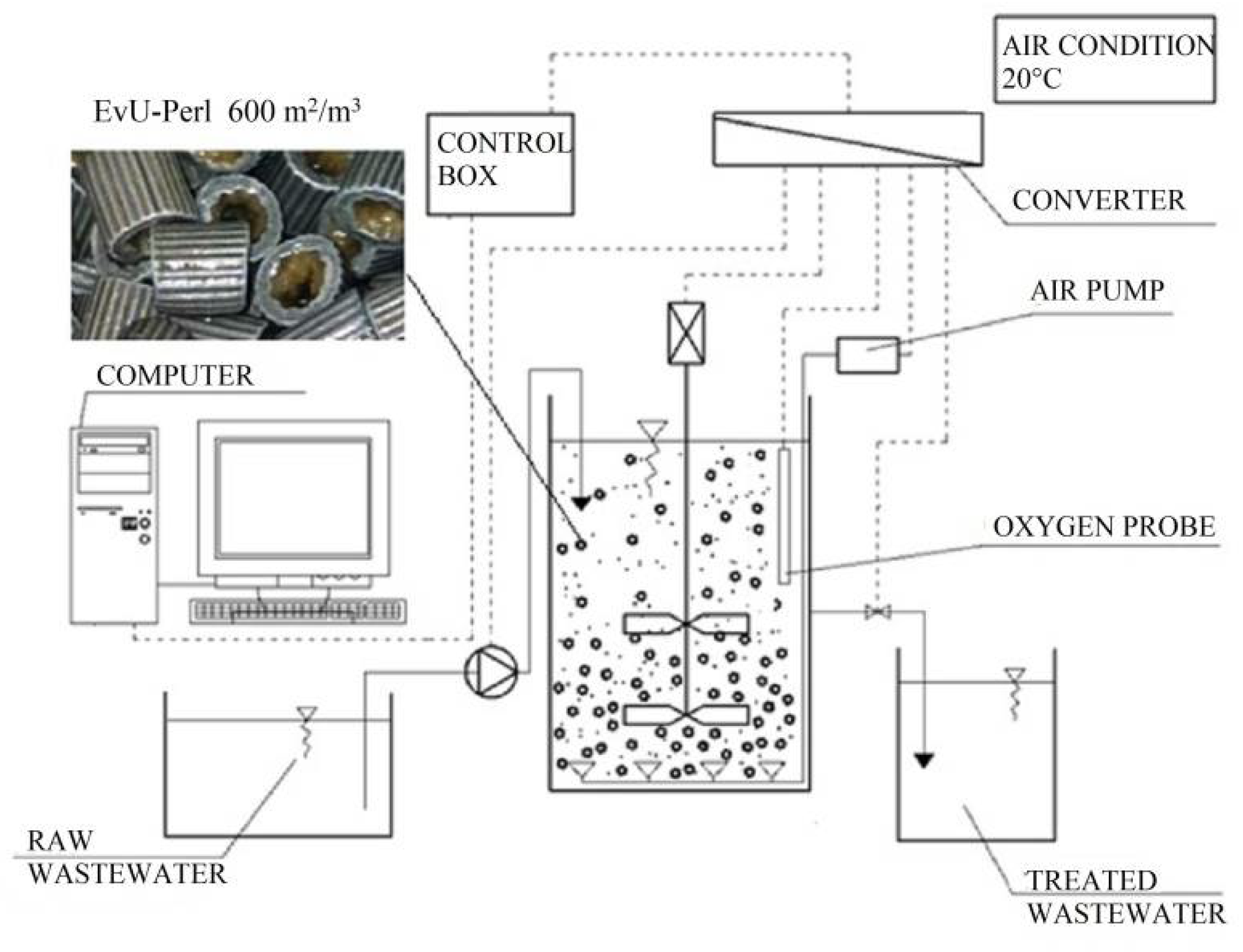 Effect of the Aeration Strategy on NOB Suppression in Activated