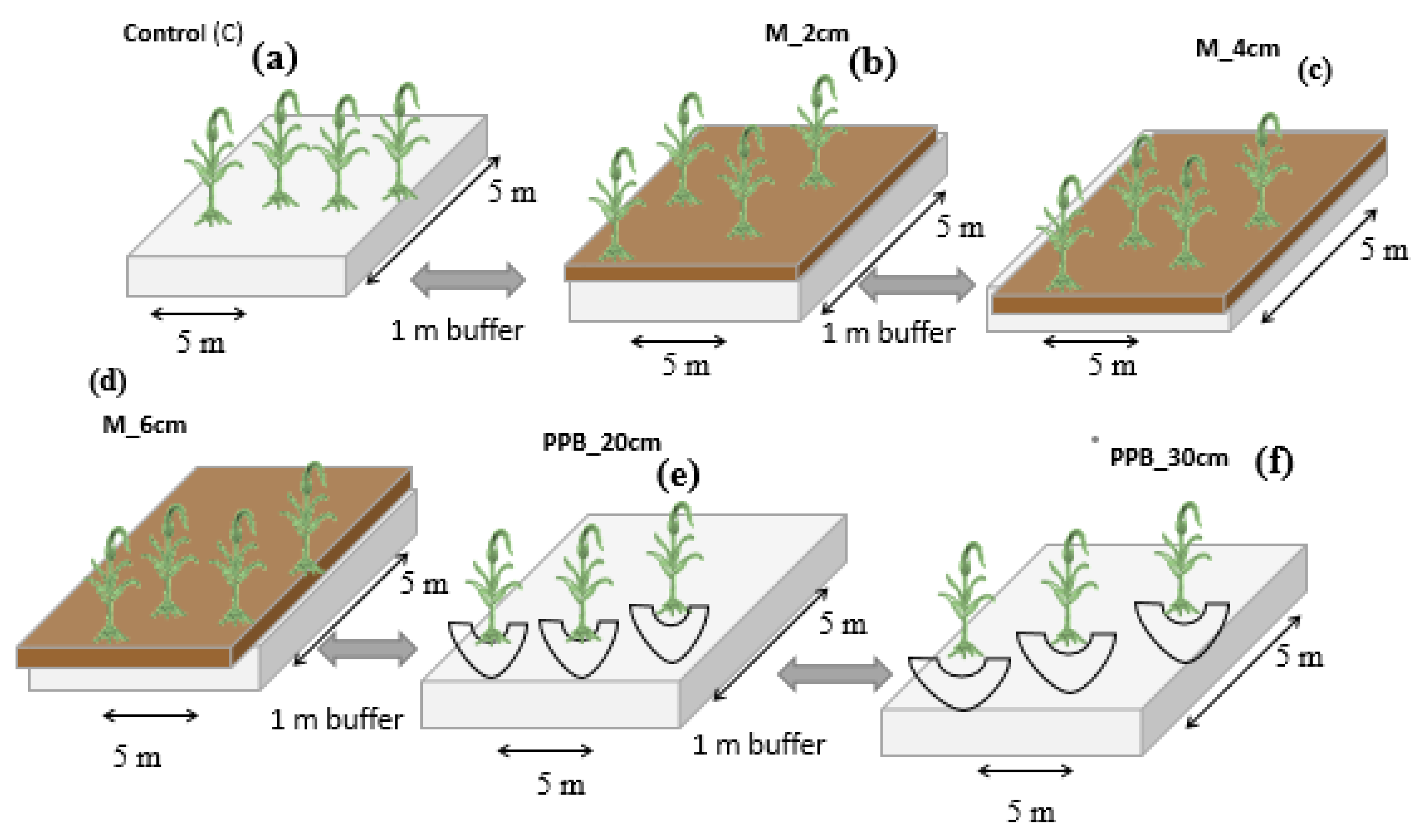 Water 14 00079 g003 550