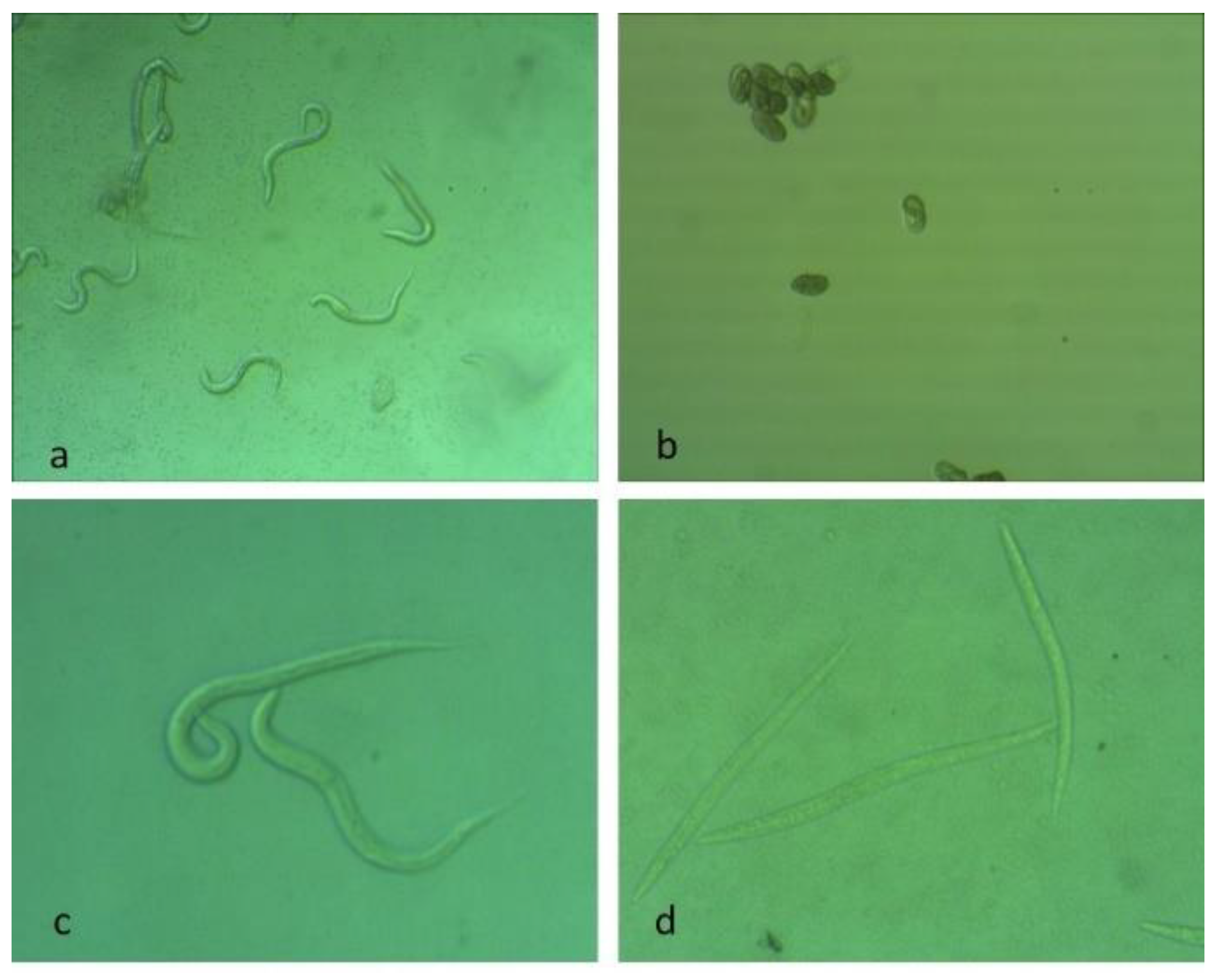 Water 14 00119 g005 550