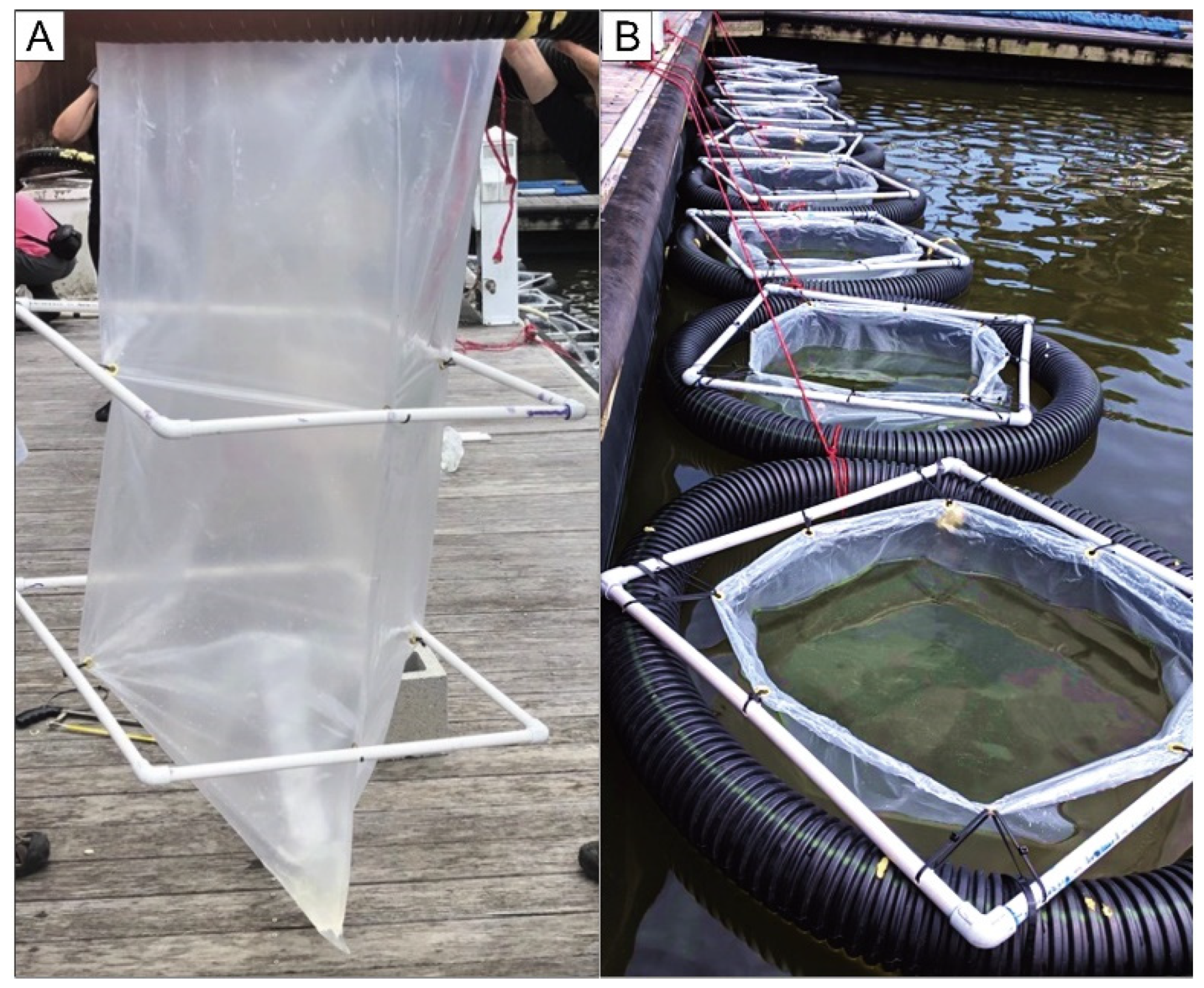 Water 14 00169 g001 550