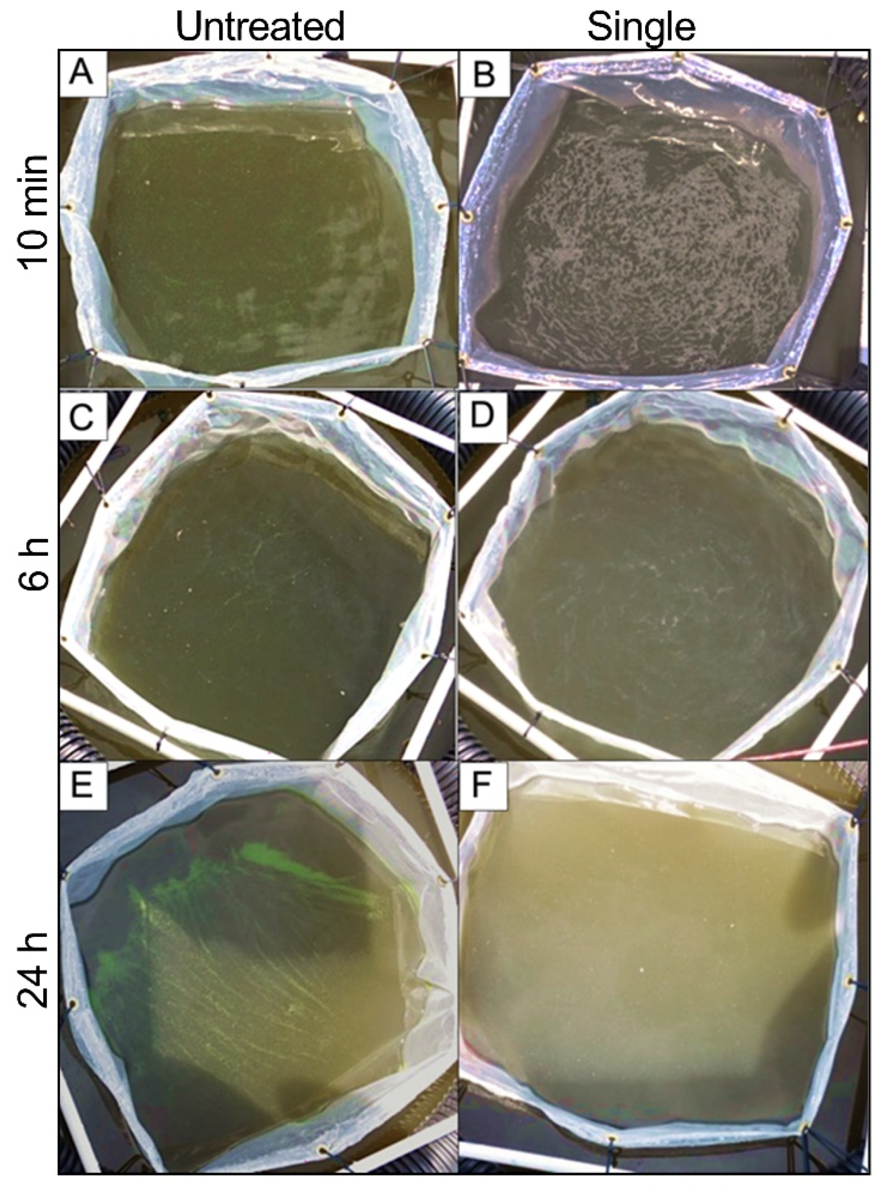 Water 14 00169 g004 550