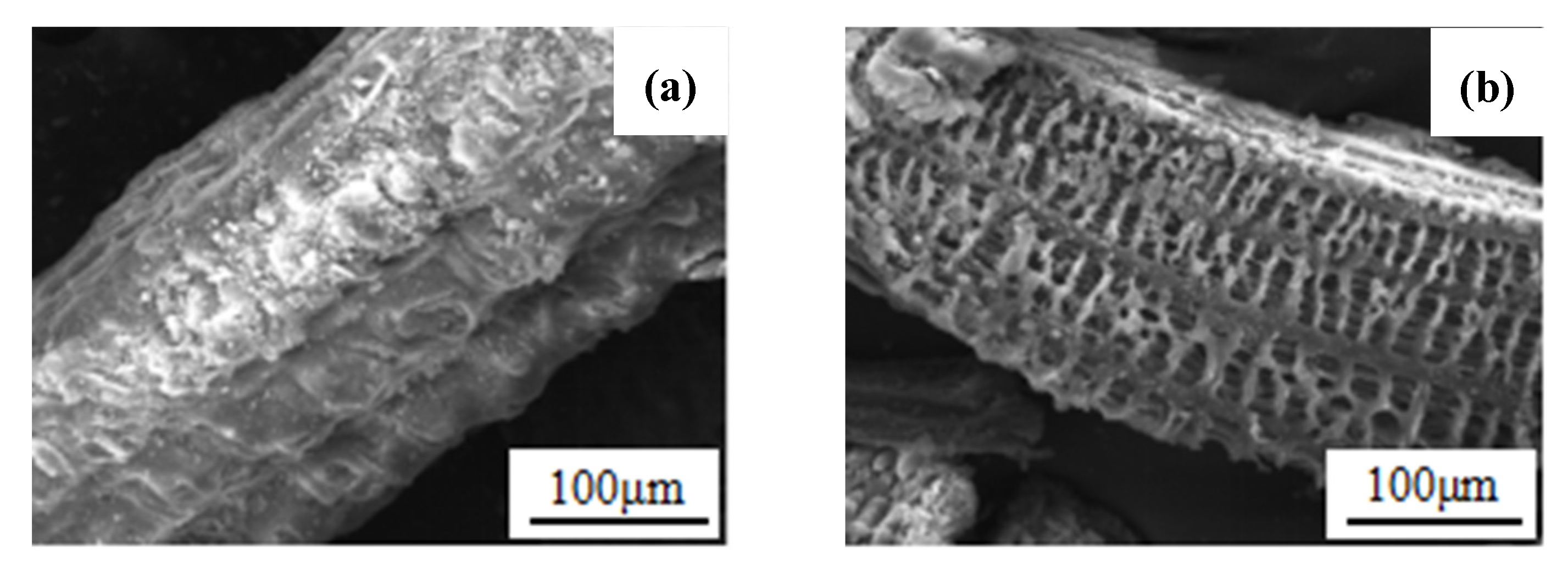 Water 14 00171 g007 550