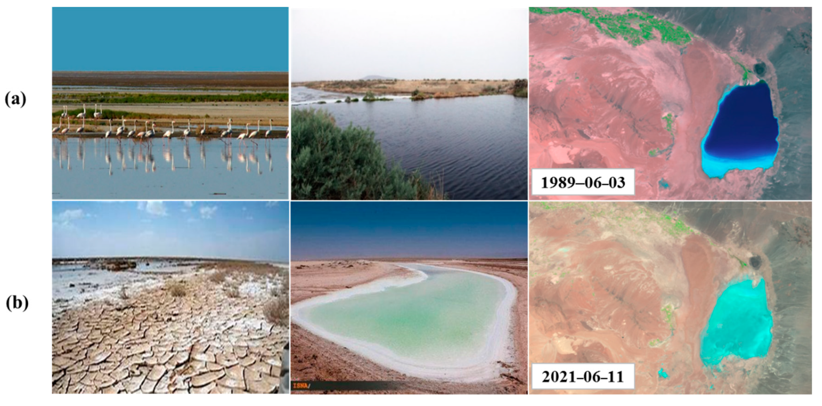 Water 14 00172 g002 550