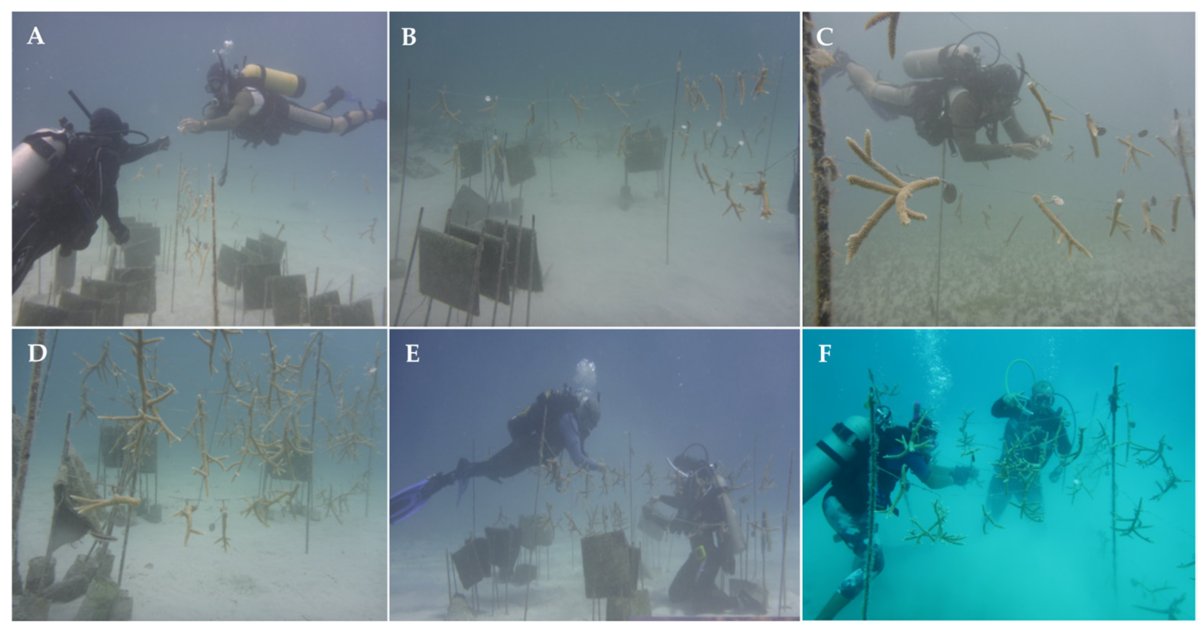 Water 14 00212 g003 550