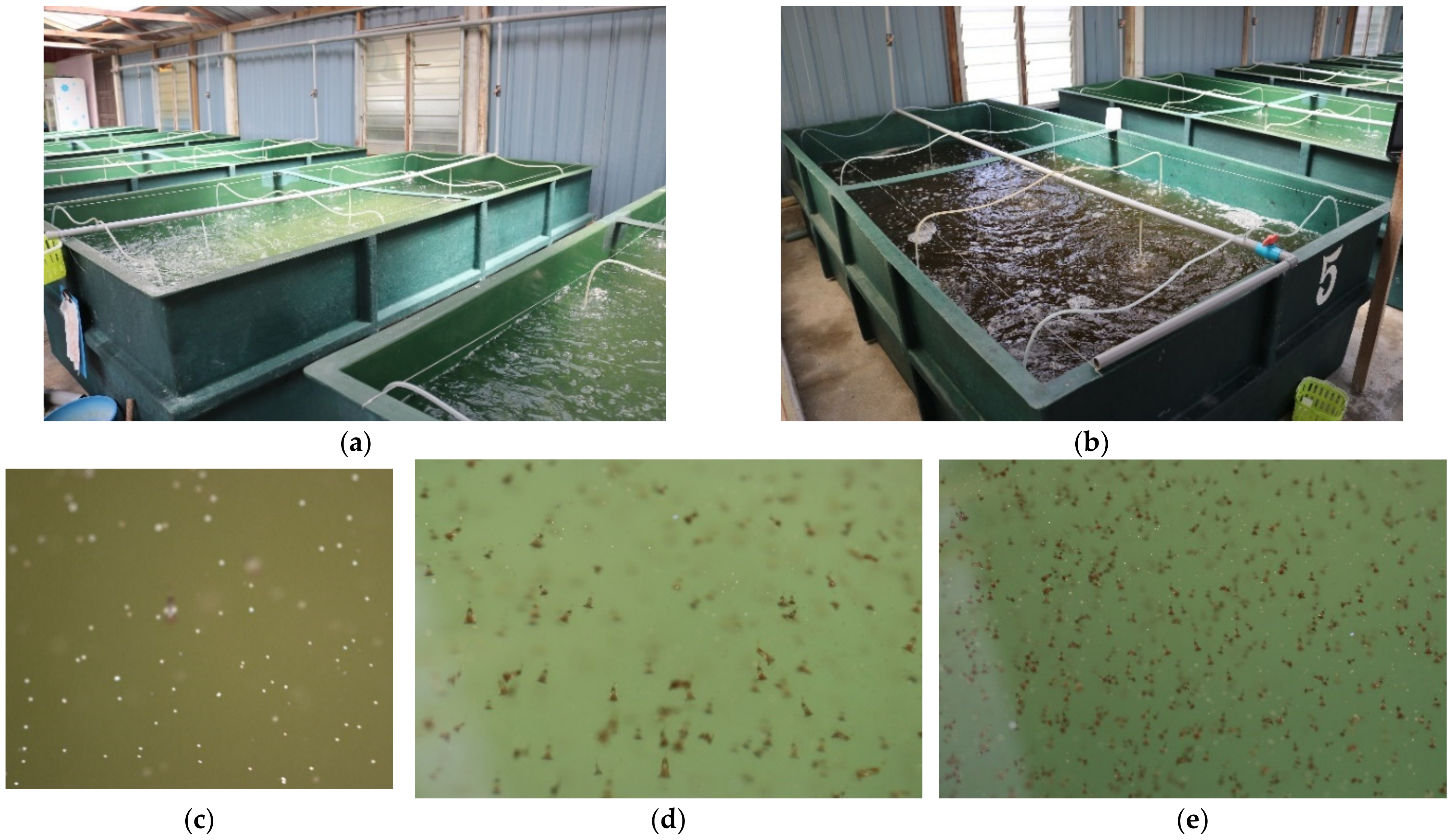 Water 14 00222 g001 550