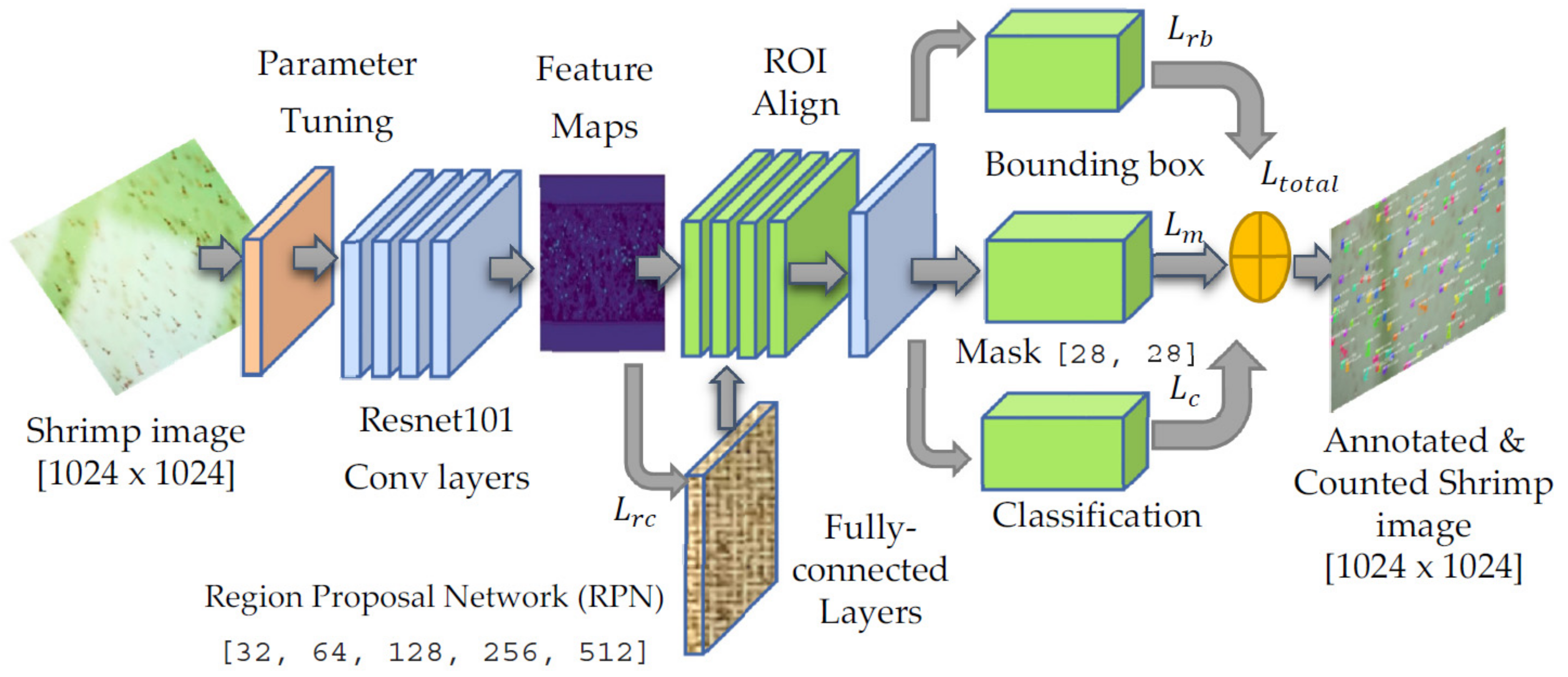 Water 14 00222 g003 550