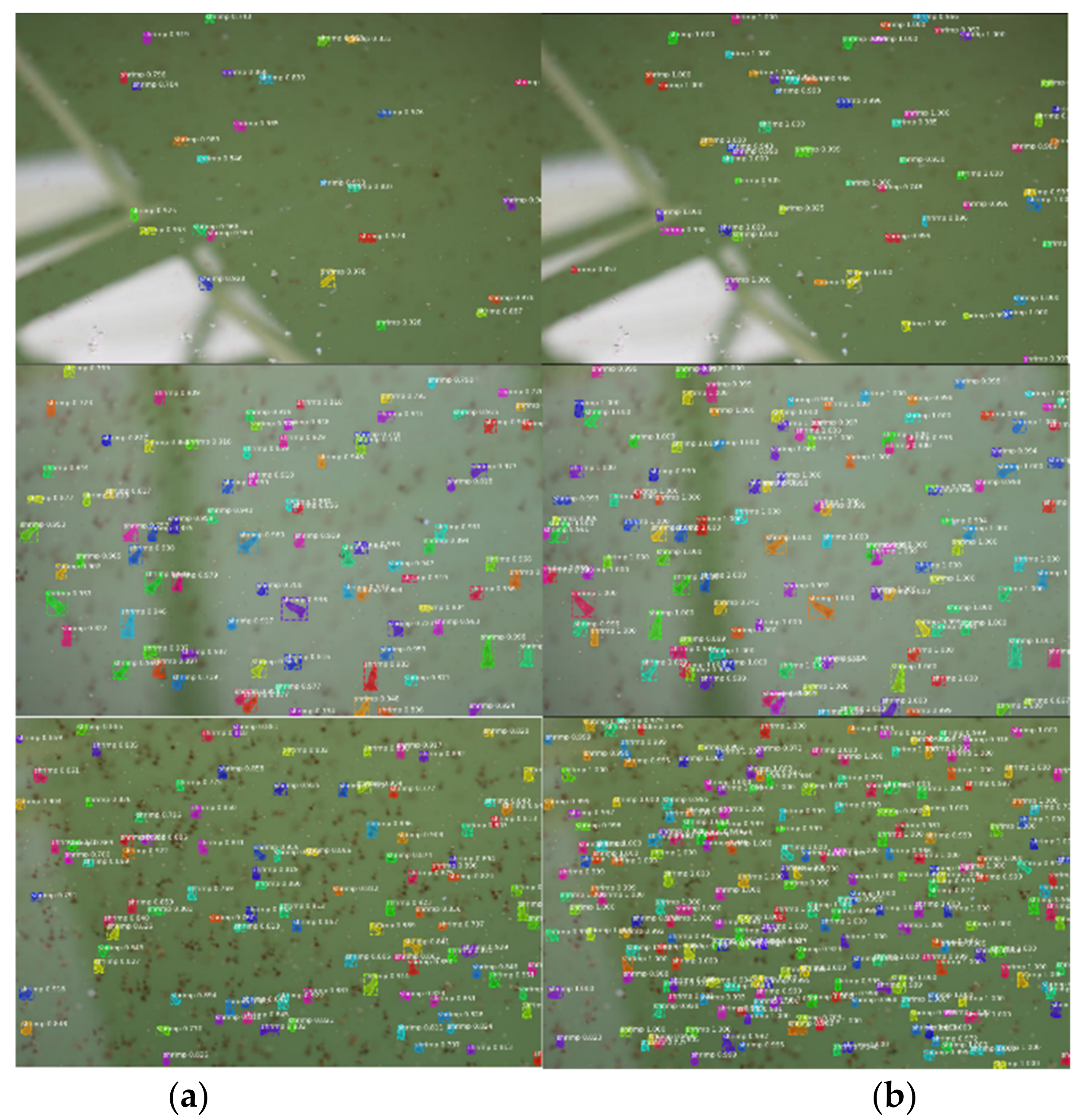 Water 14 00222 g015 550