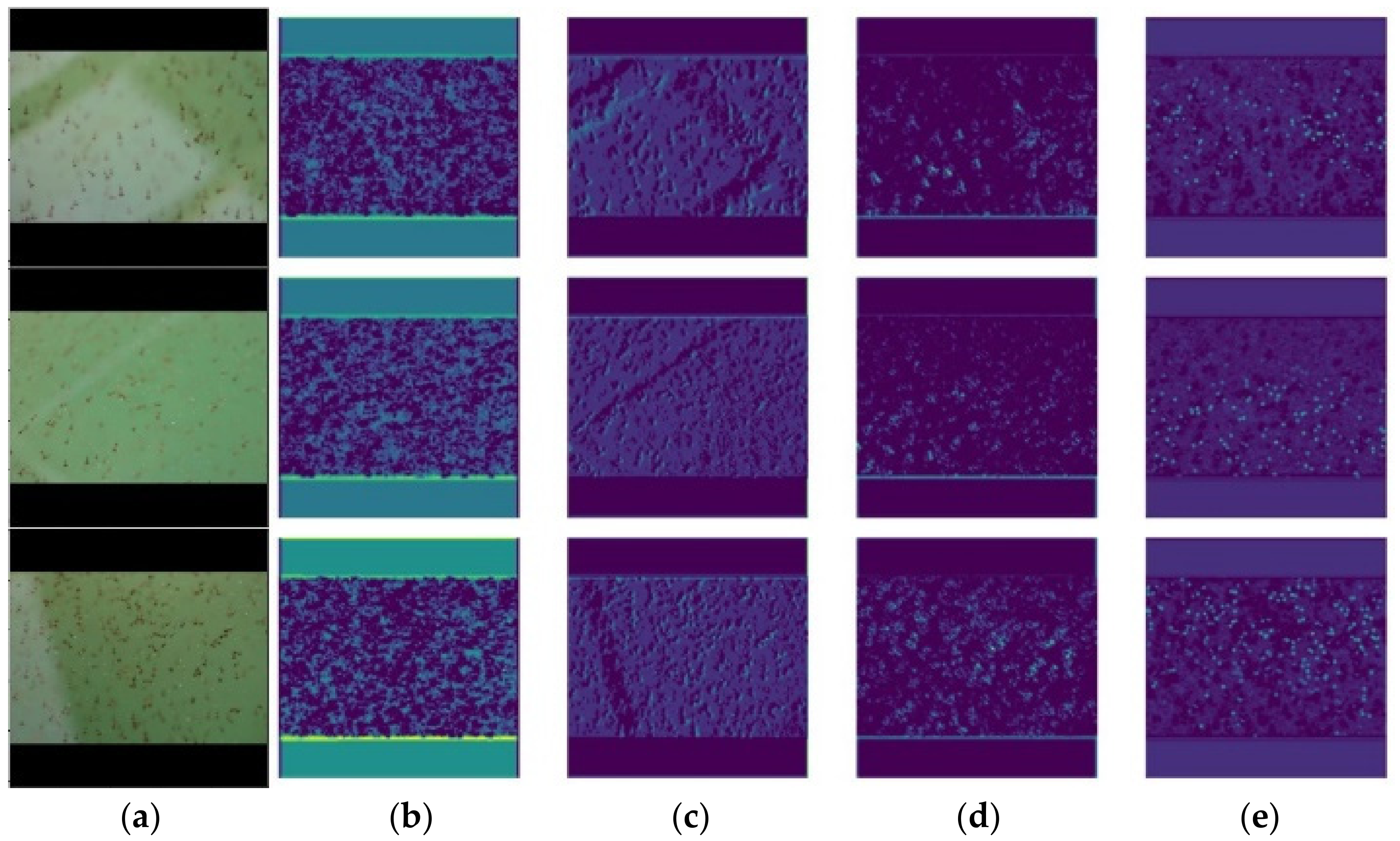 Water 14 00222 g016 550