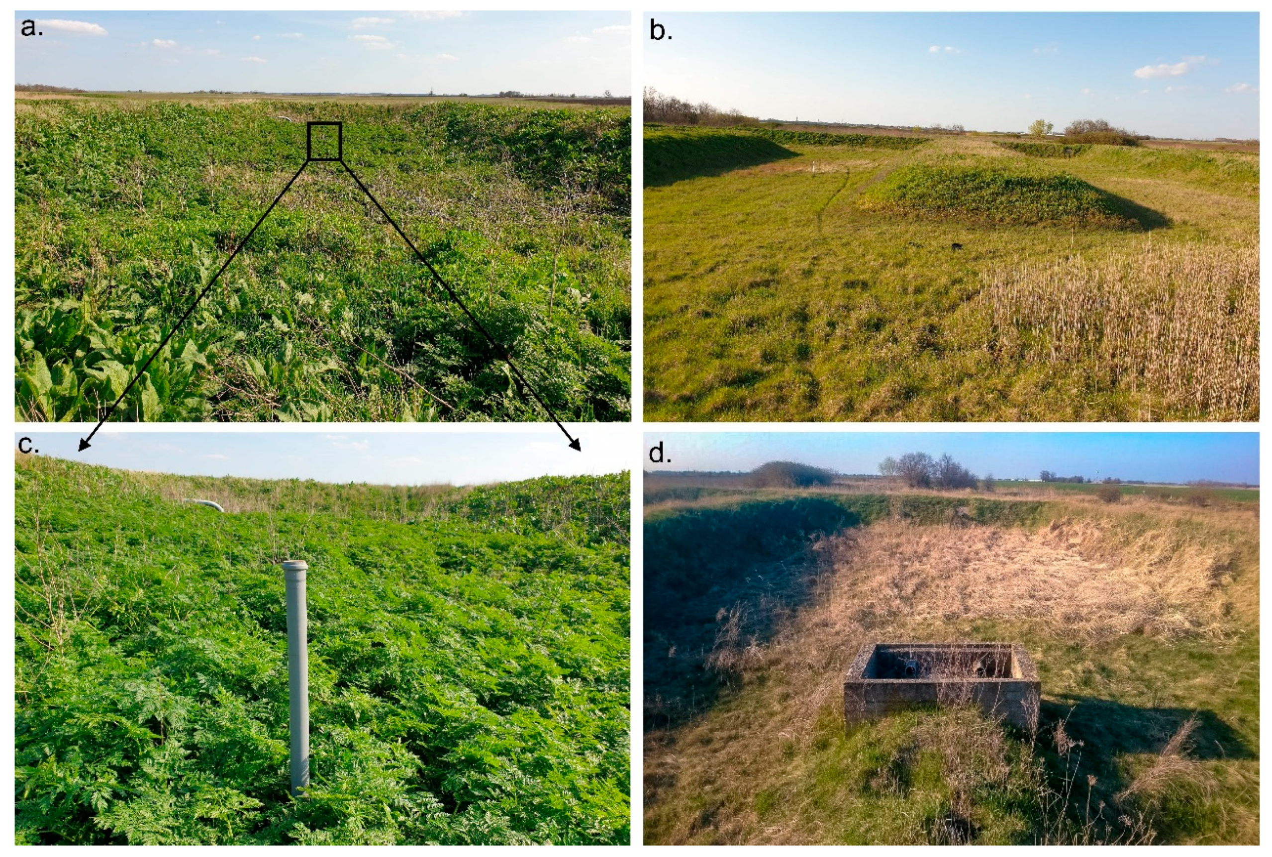 Water 14 00226 g002 550