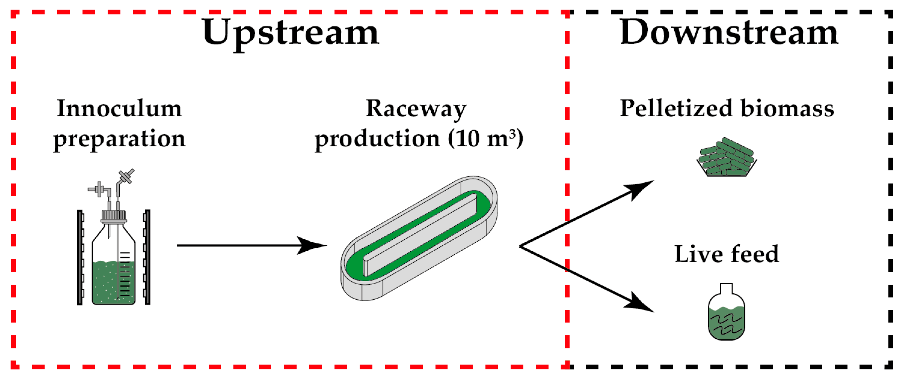 Water 14 00250 g001 550