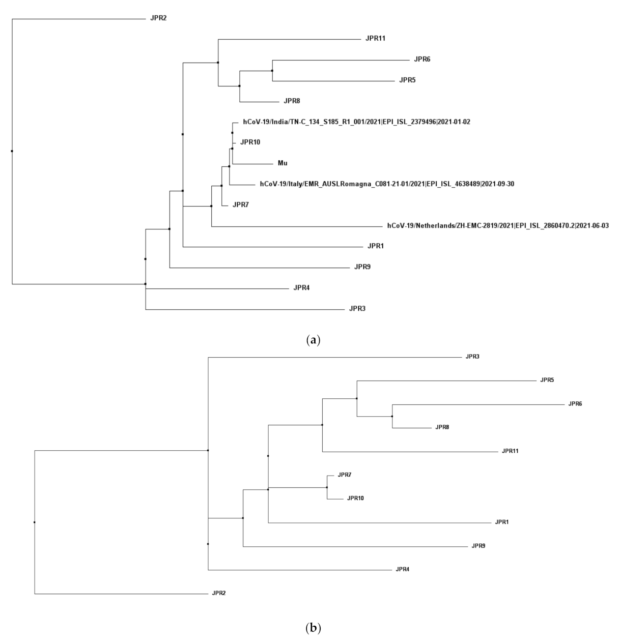 Water 14 00297 g002 550