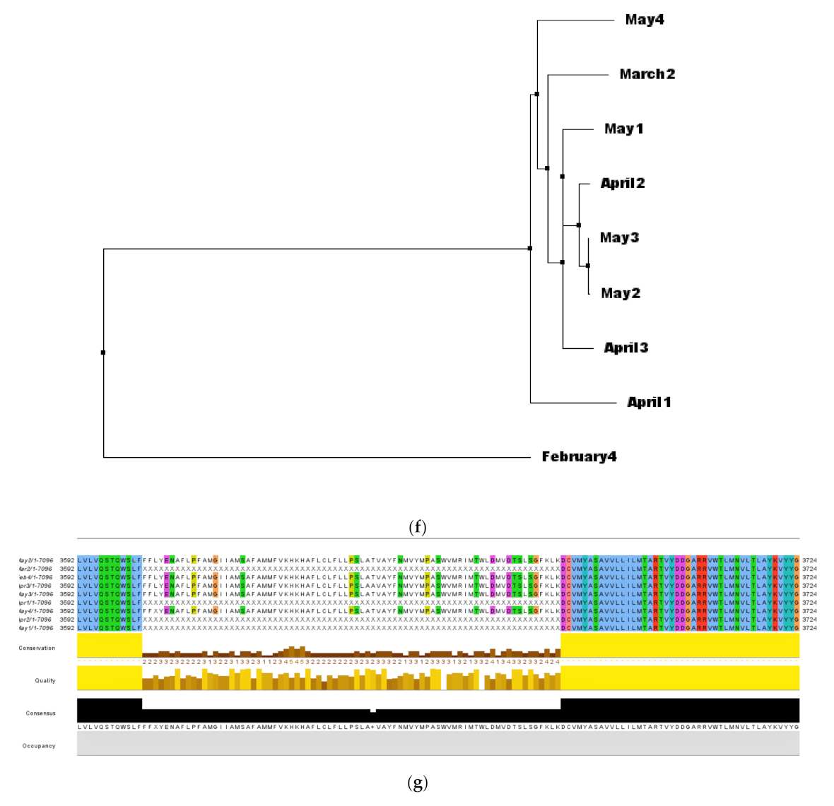 Water 14 00297 g003c 550