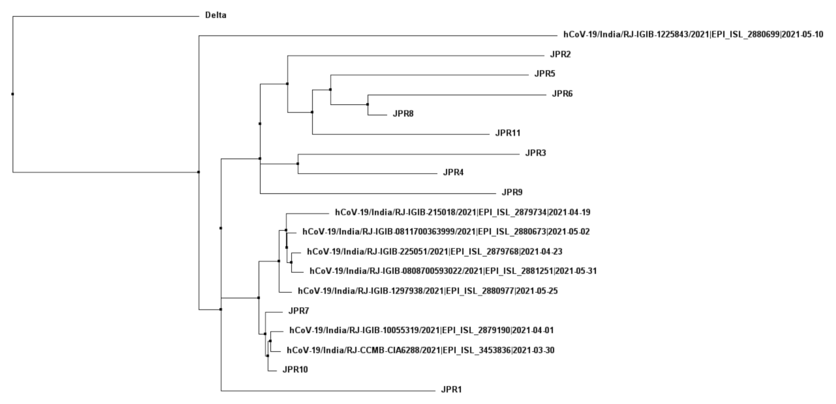 Water 14 00297 g004 550