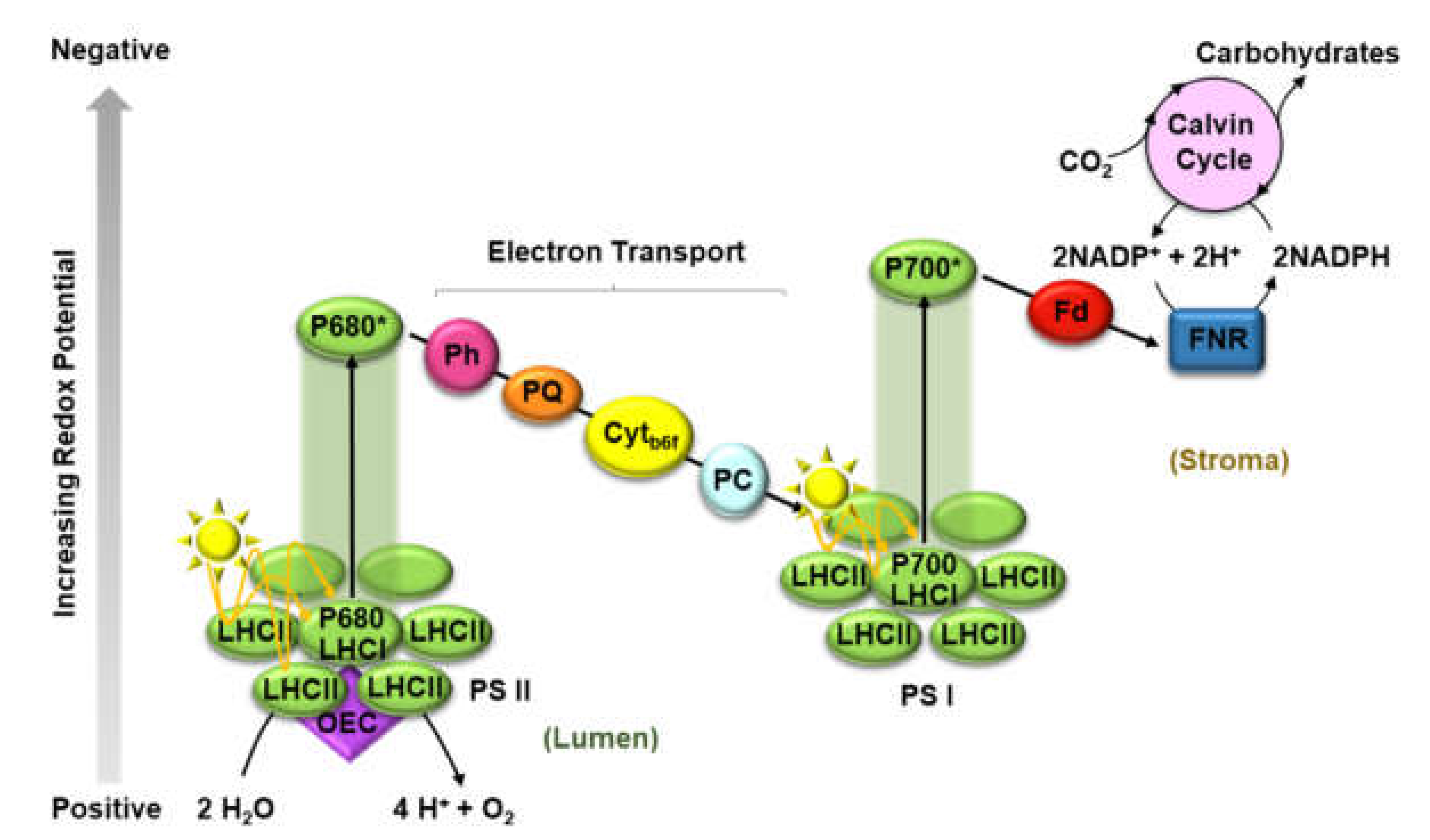 Water 14 00371 sch001