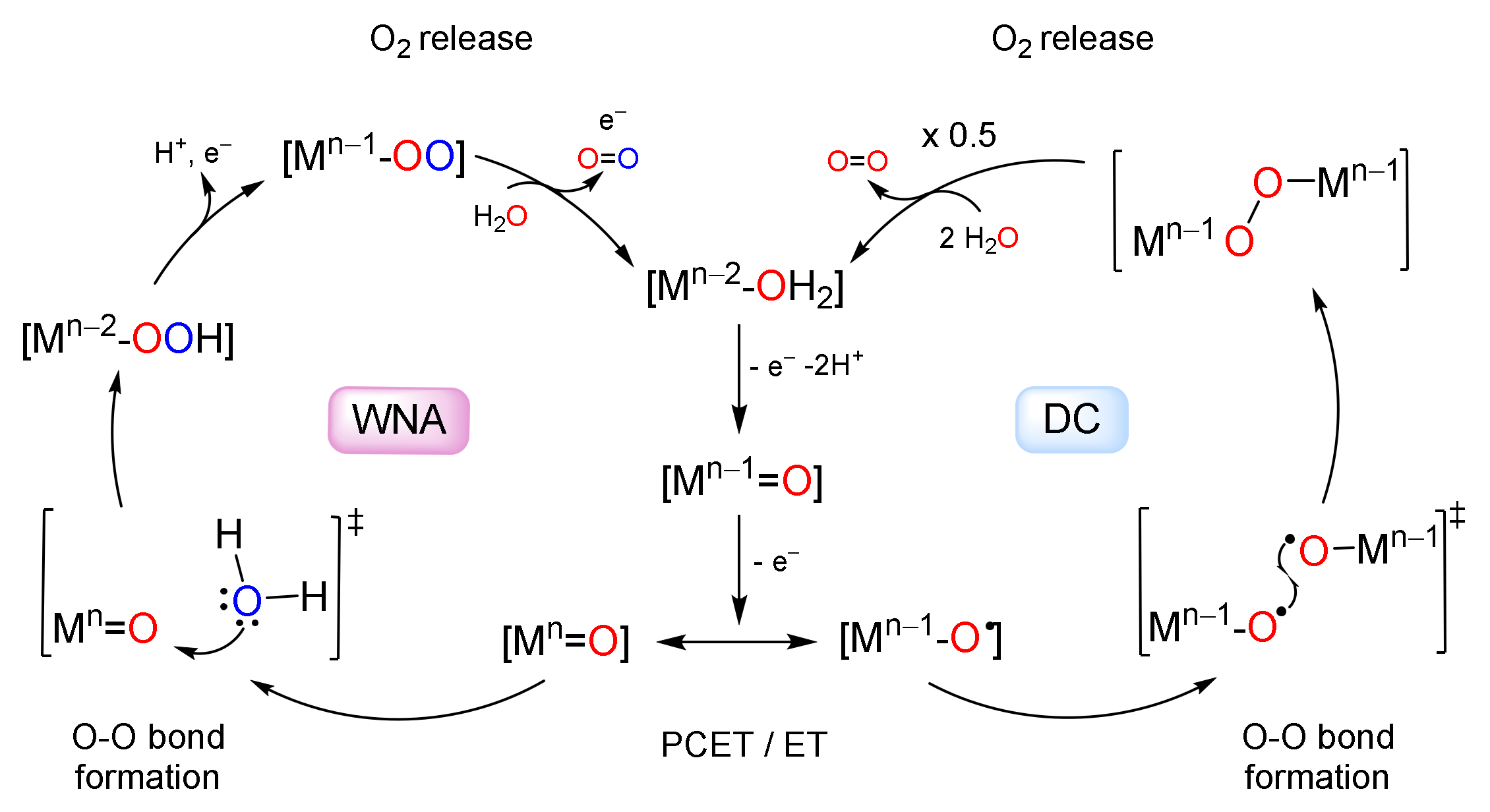 Water 14 00371 sch002