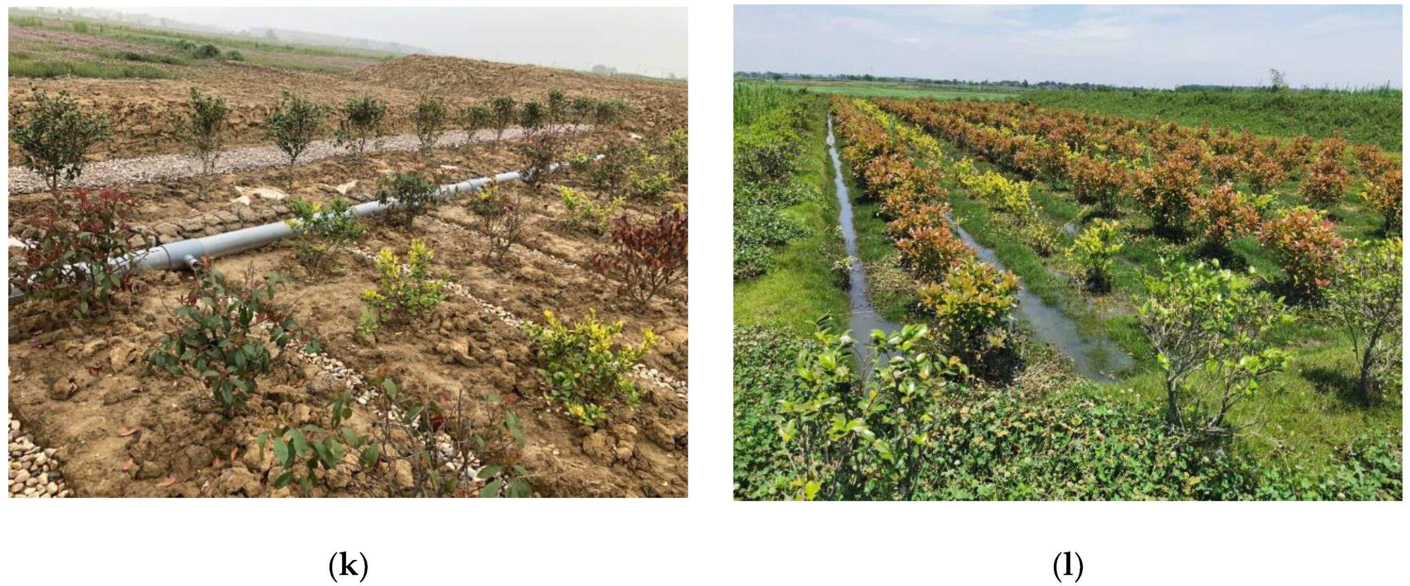 Water 14 00396 g006c