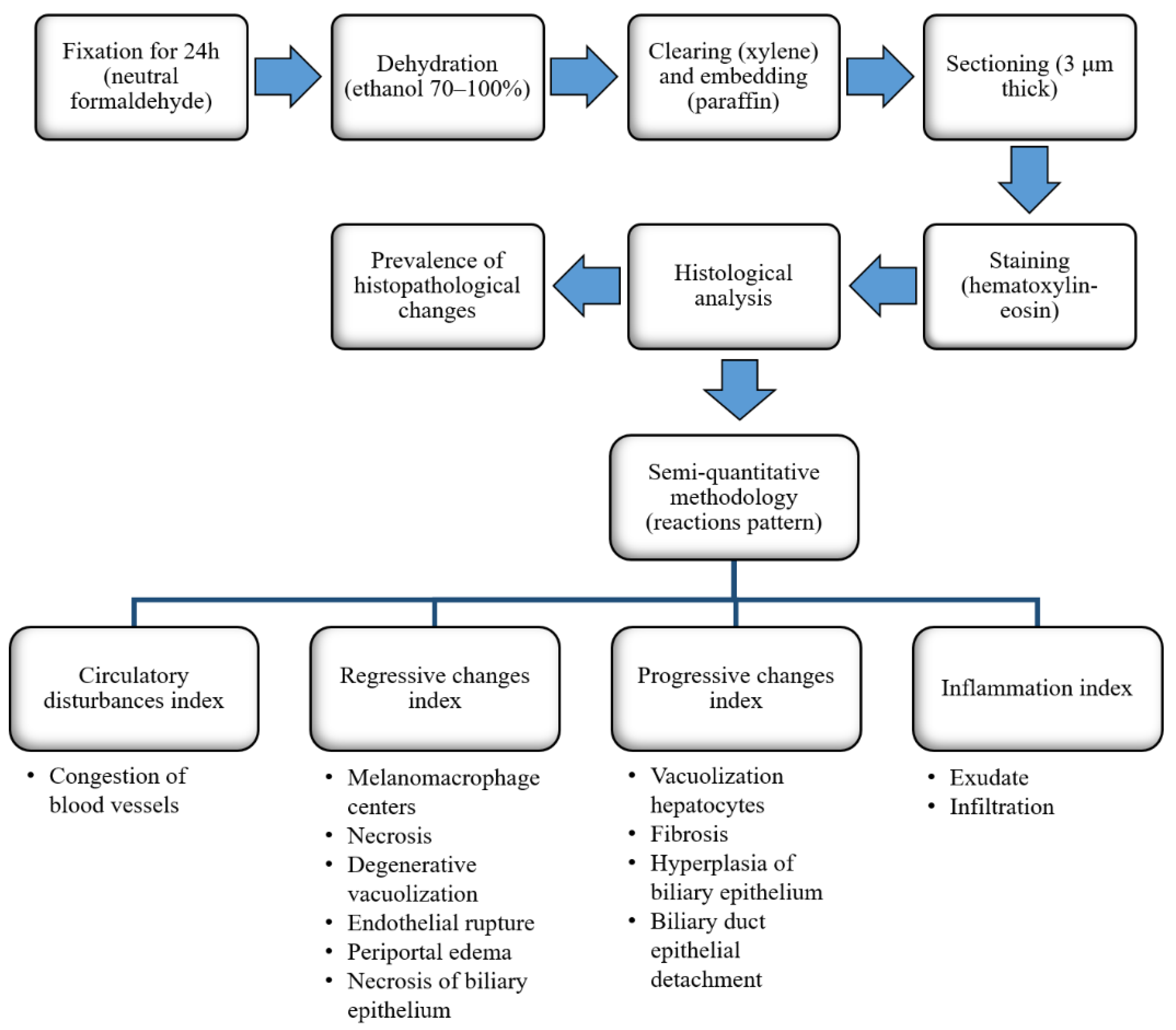 Water 14 00444 g002 550