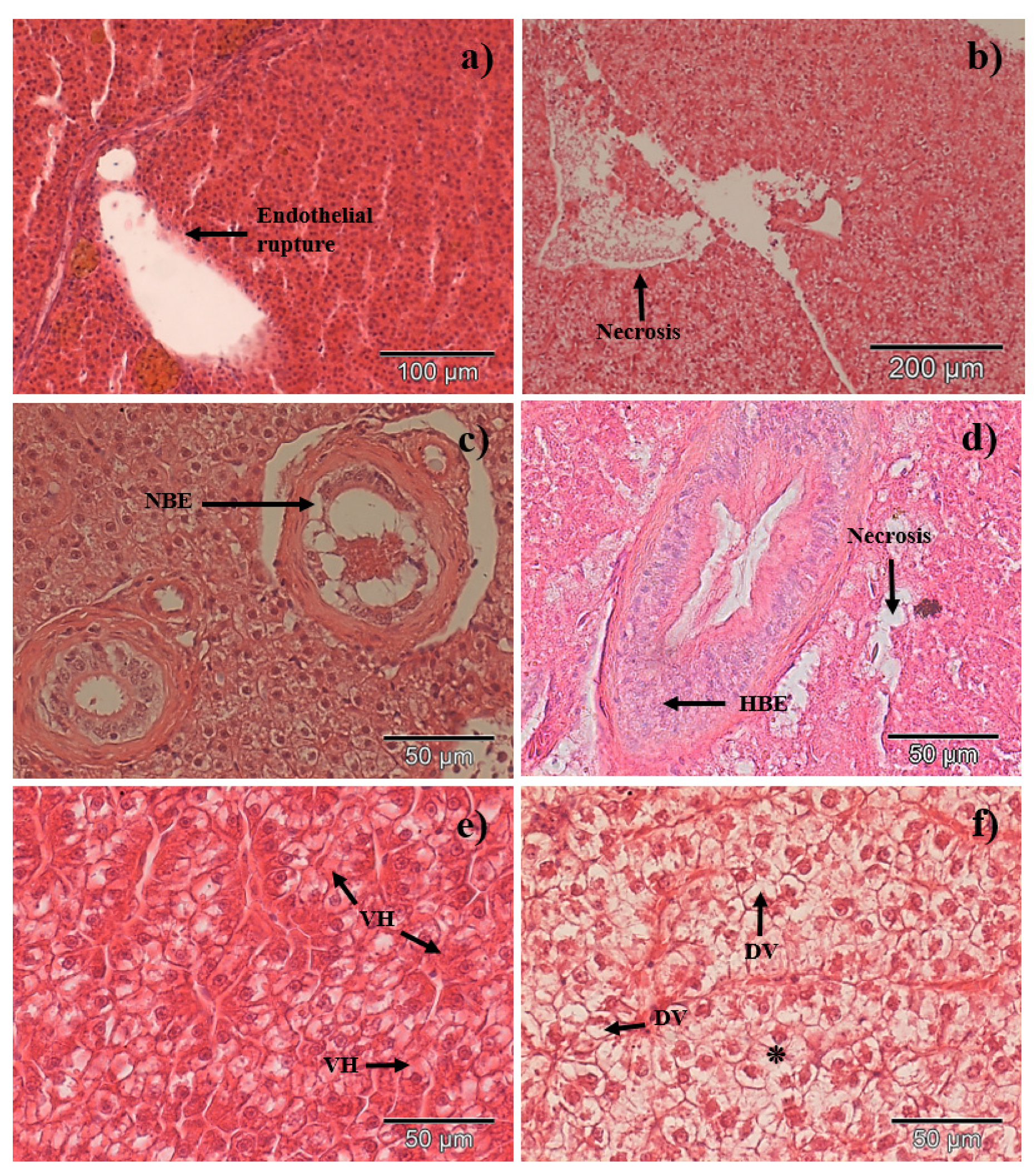 Water 14 00444 g004 550