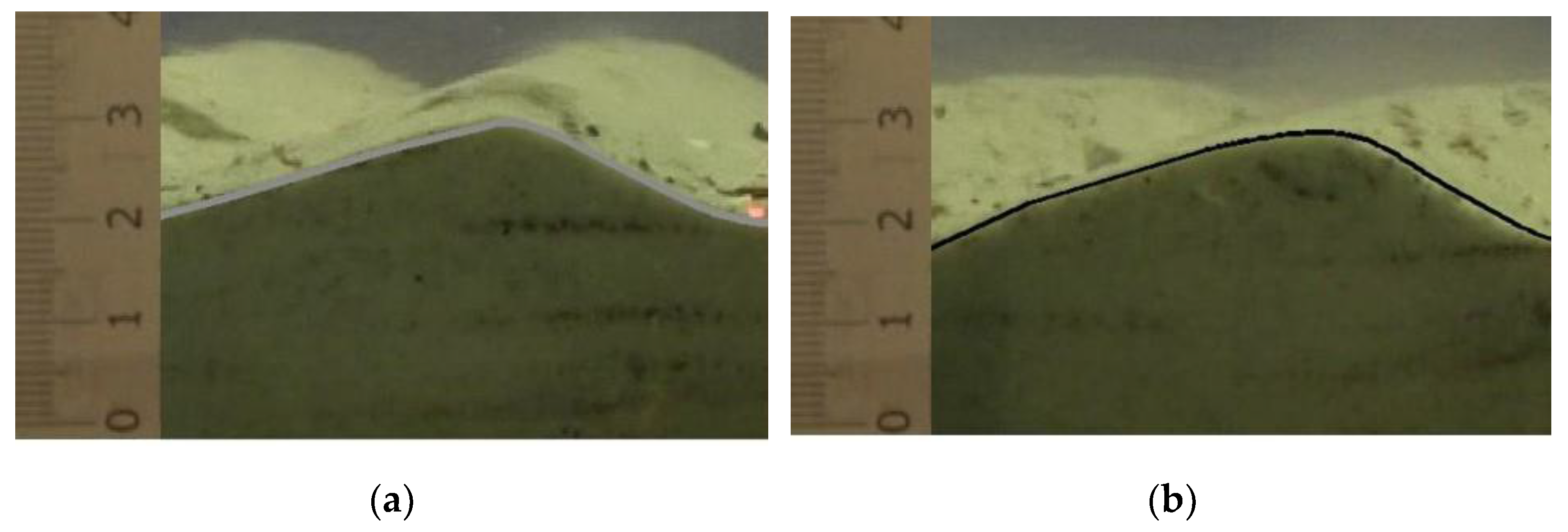 Water 14 00470 g004 550