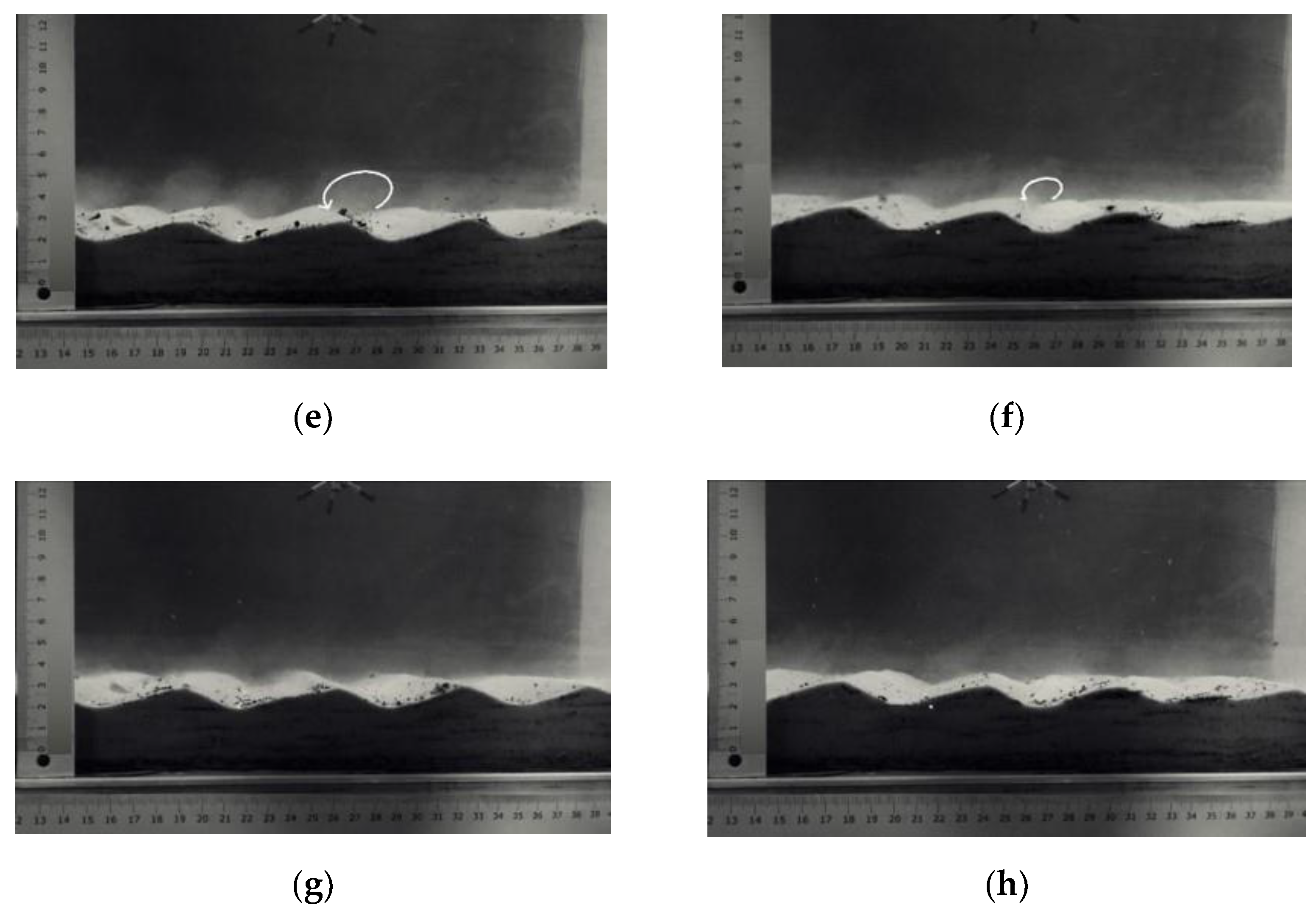 Water 14 00470 g005b 550