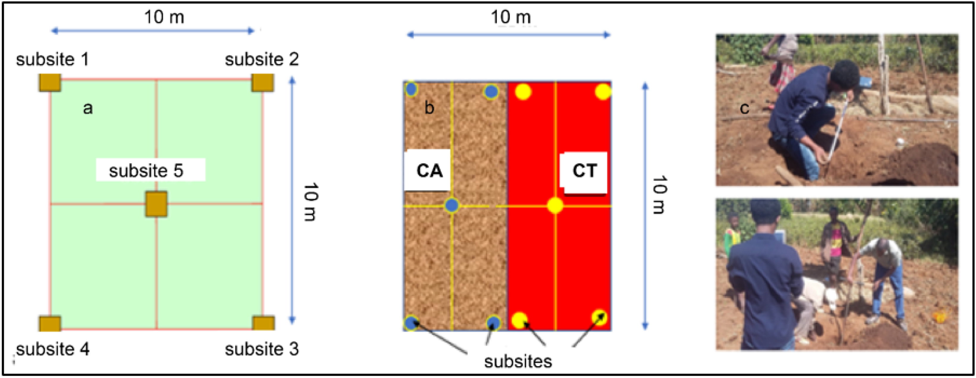Water 14 00476 g003 550