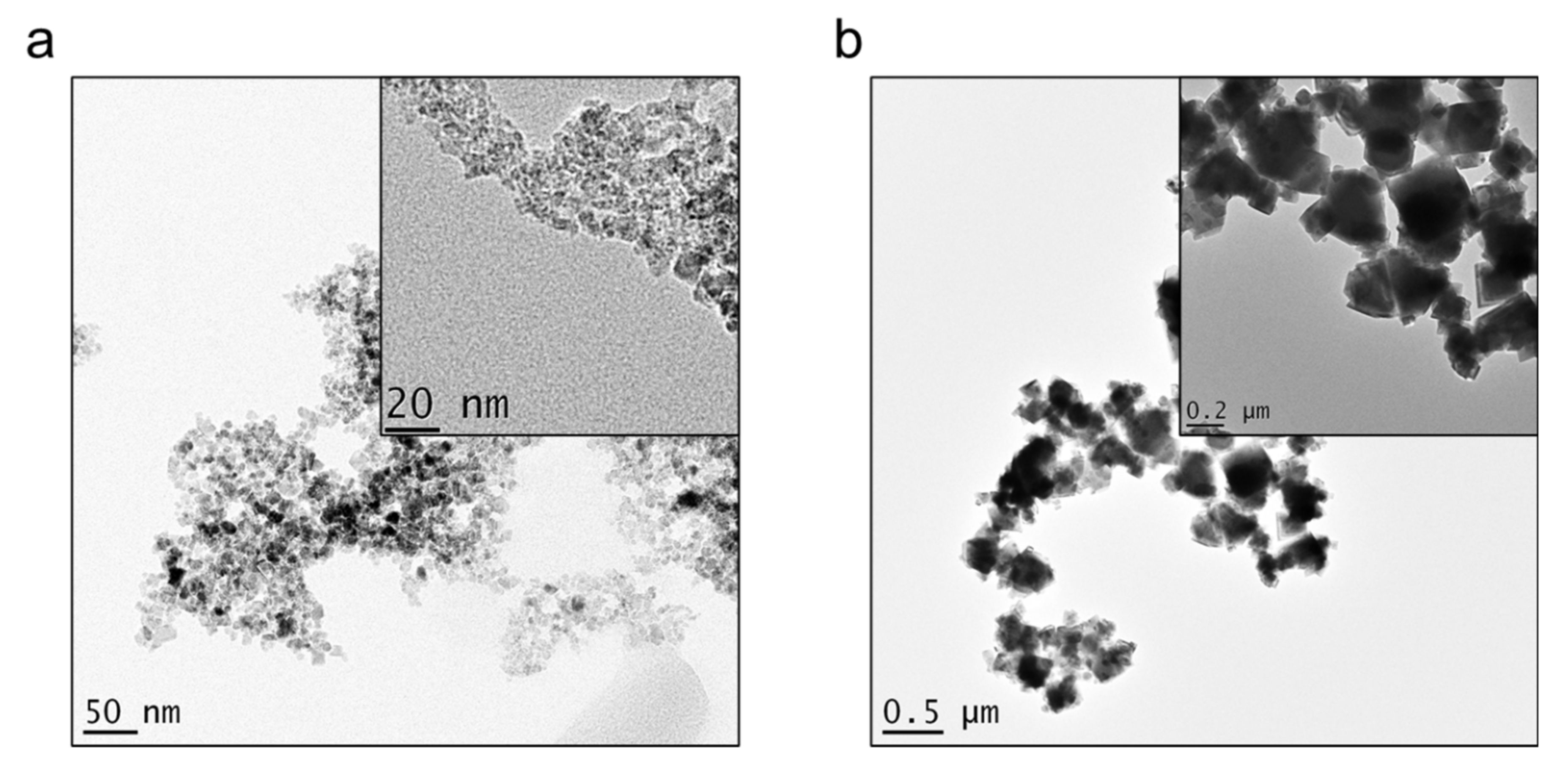 Water 14 00505 g003 550